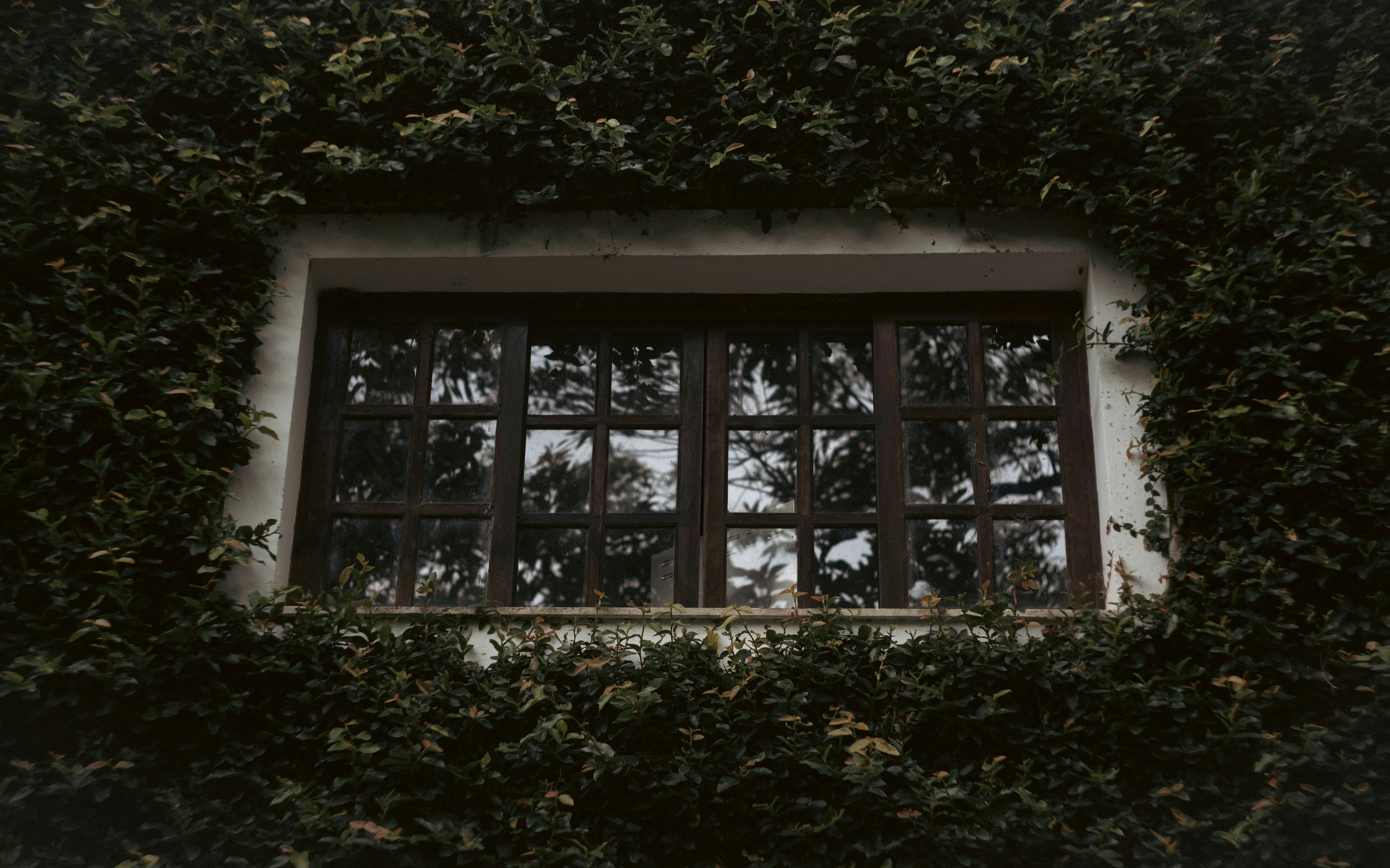 Photo by lucasdalamartaphoto