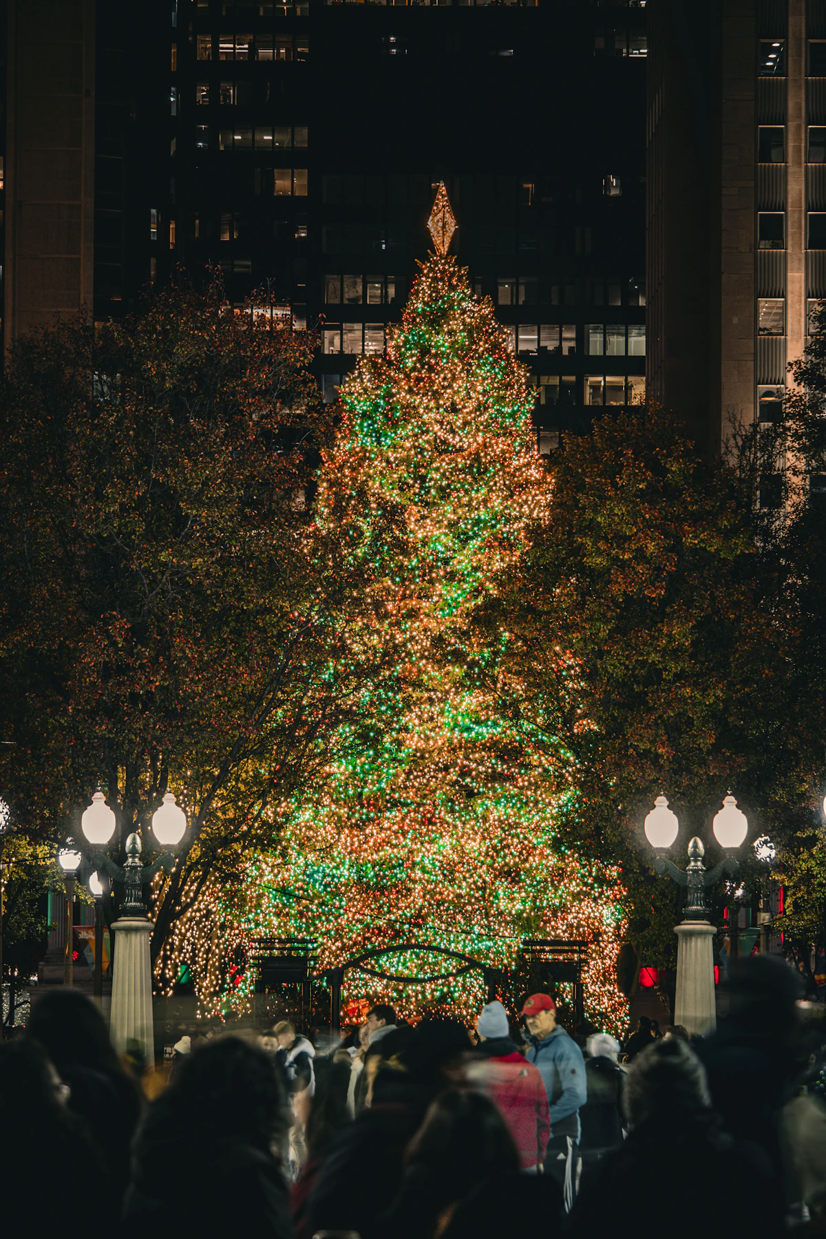 Sydney Christmas in the City 5