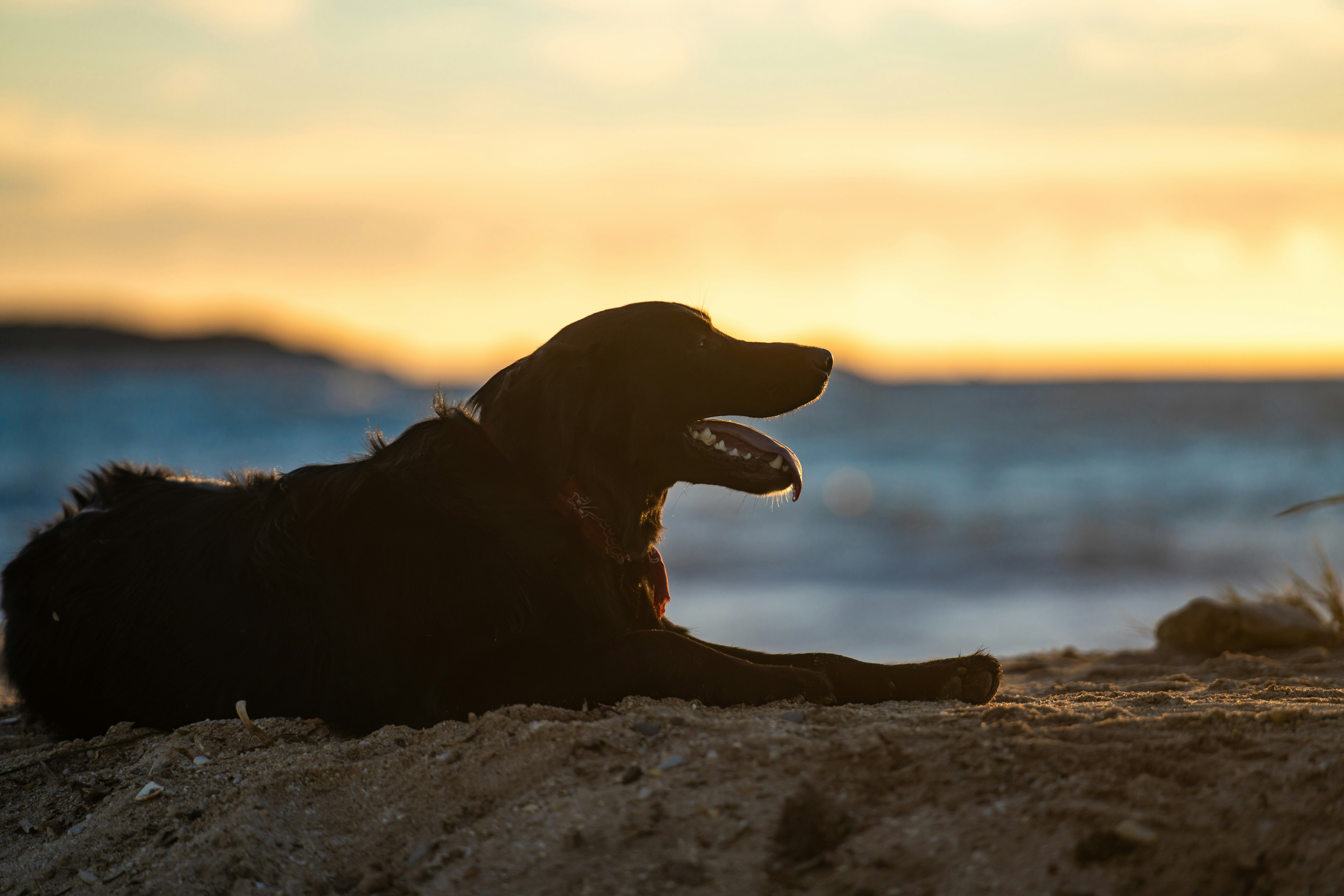 Photo by guillaumedegermain