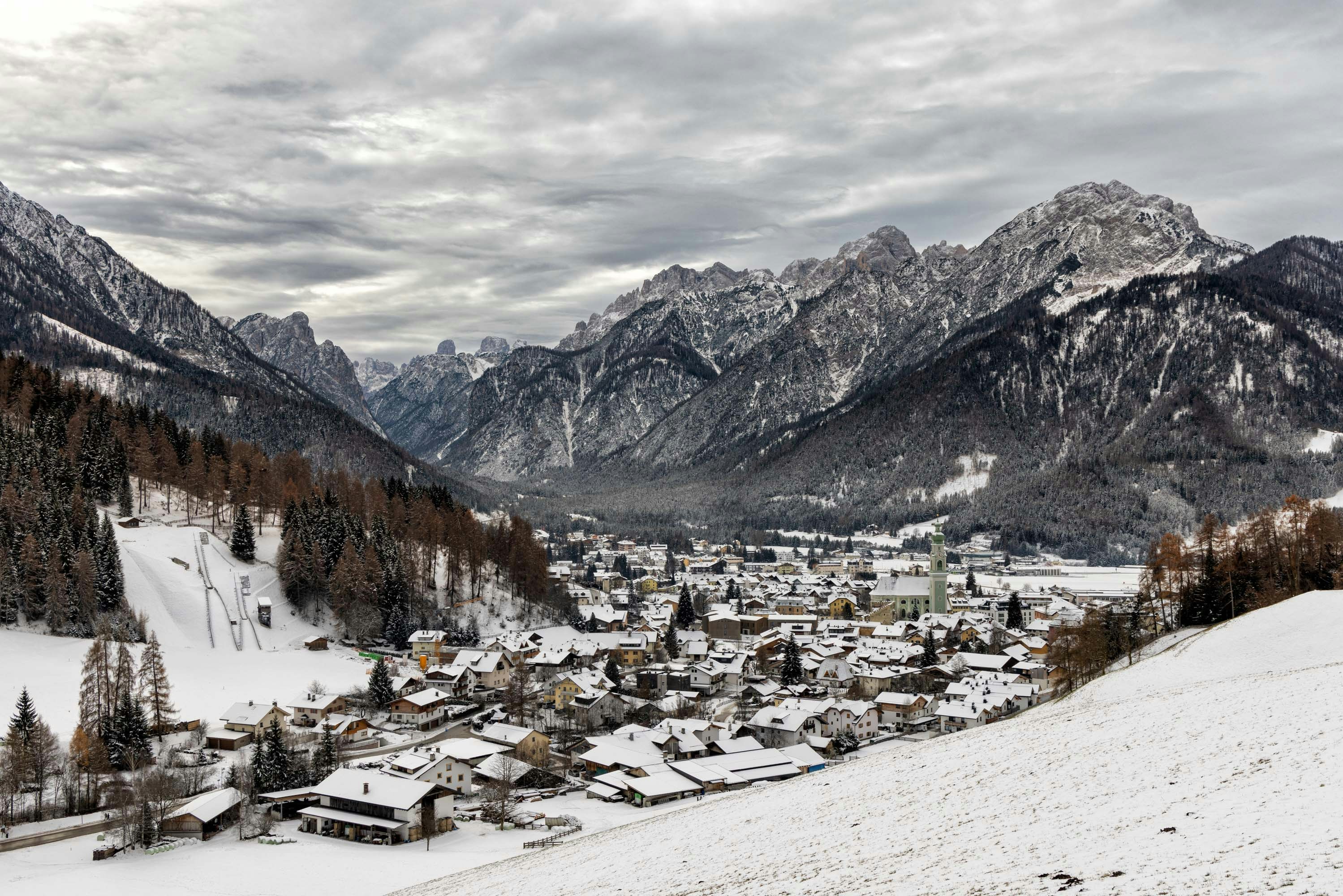 Deciduous Trees: The Seasonal Strategists (image credits: unsplash)