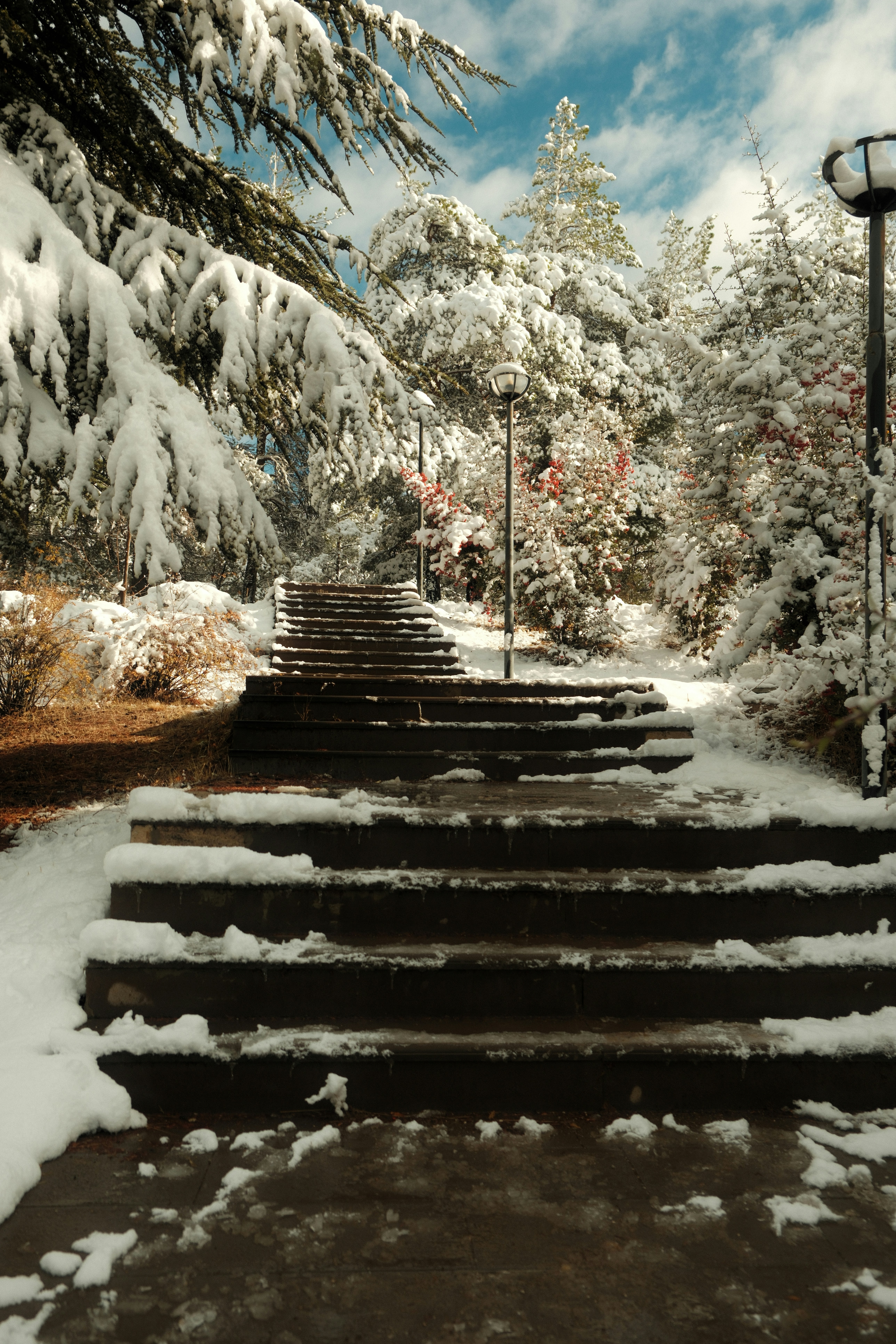 A set of steps that are covered in snow photo – Free Üniversiteler ...