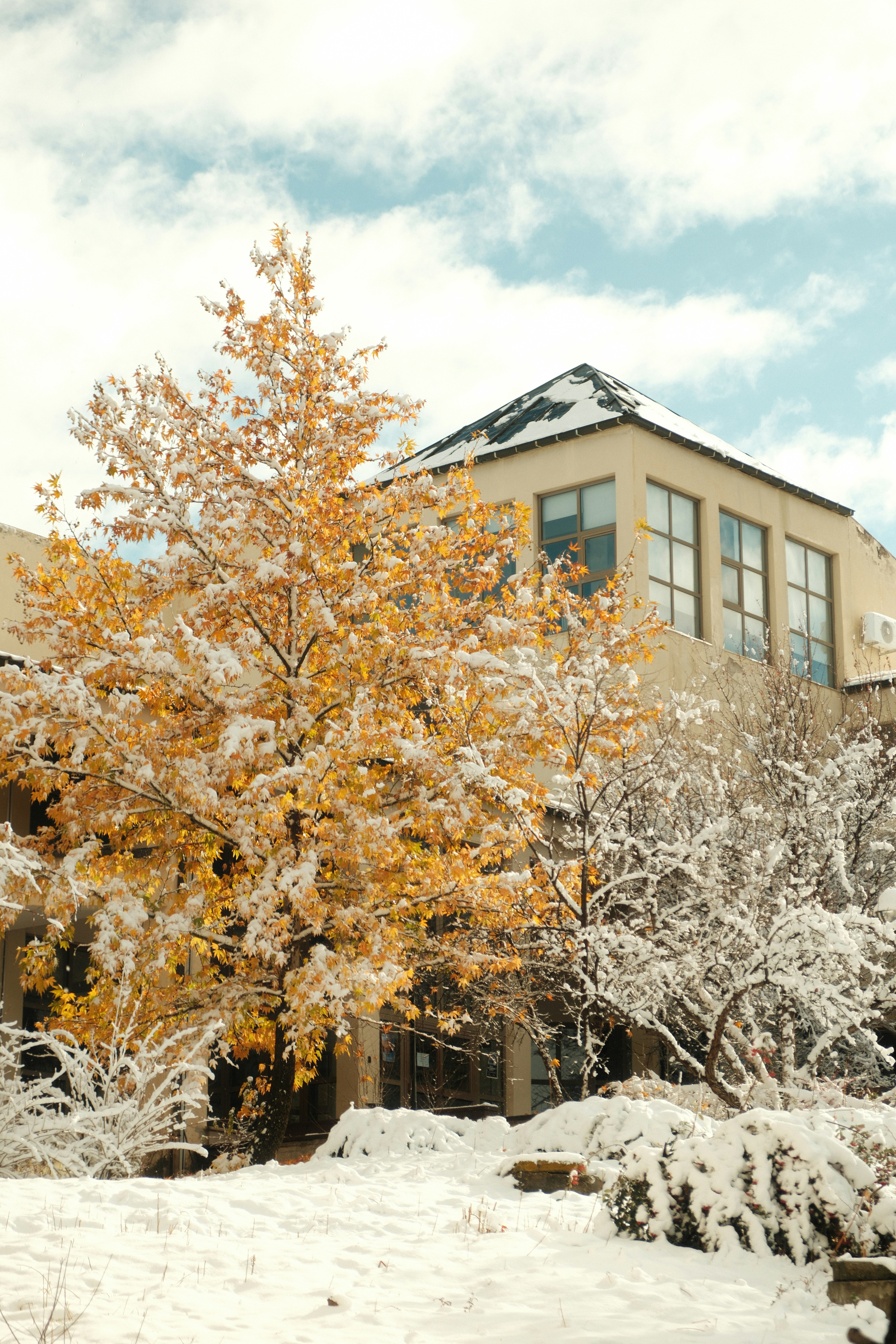 Photo by ismailefetop