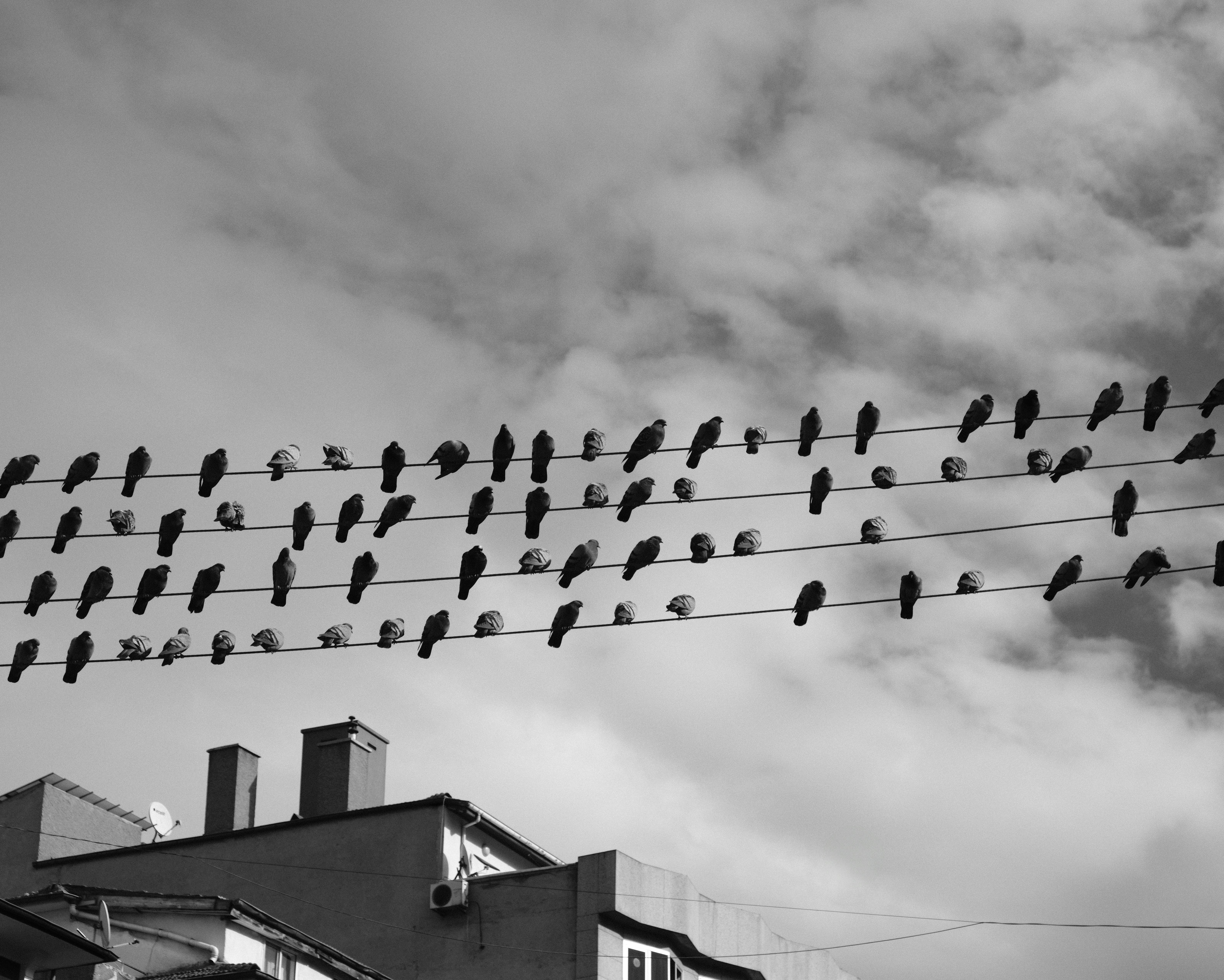 Photo by ismailefetop