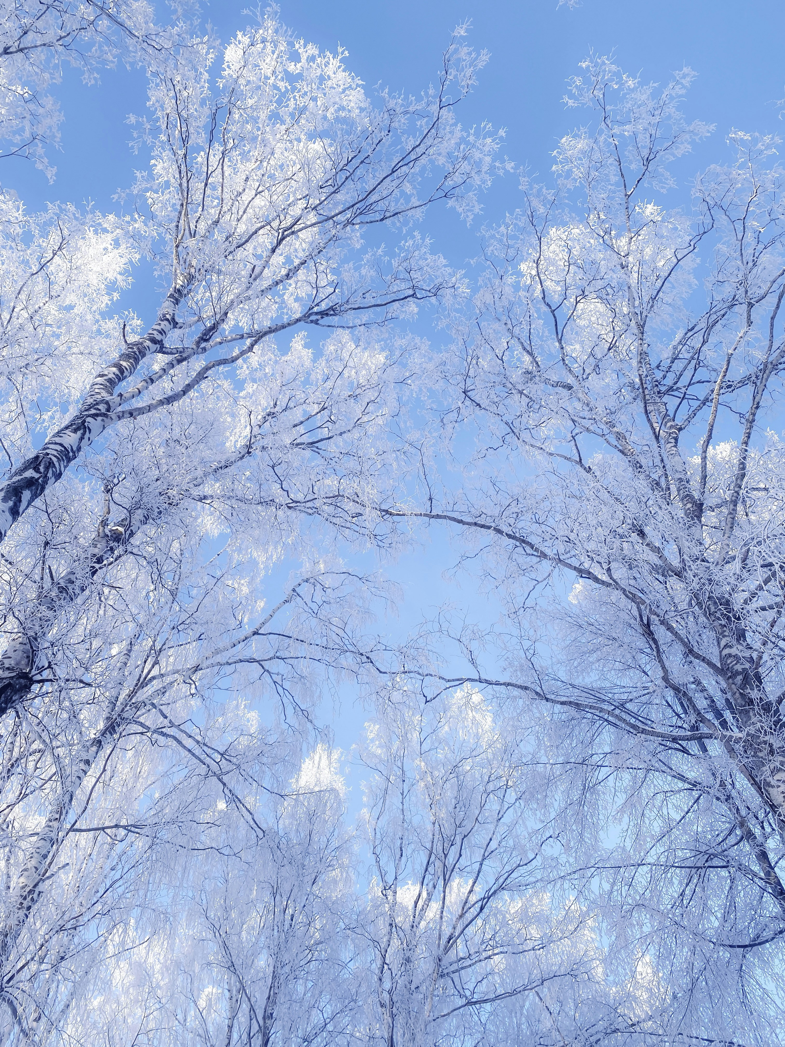 Winter white tumblr HD wallpapers | Pxfuel, image size:3000x4000