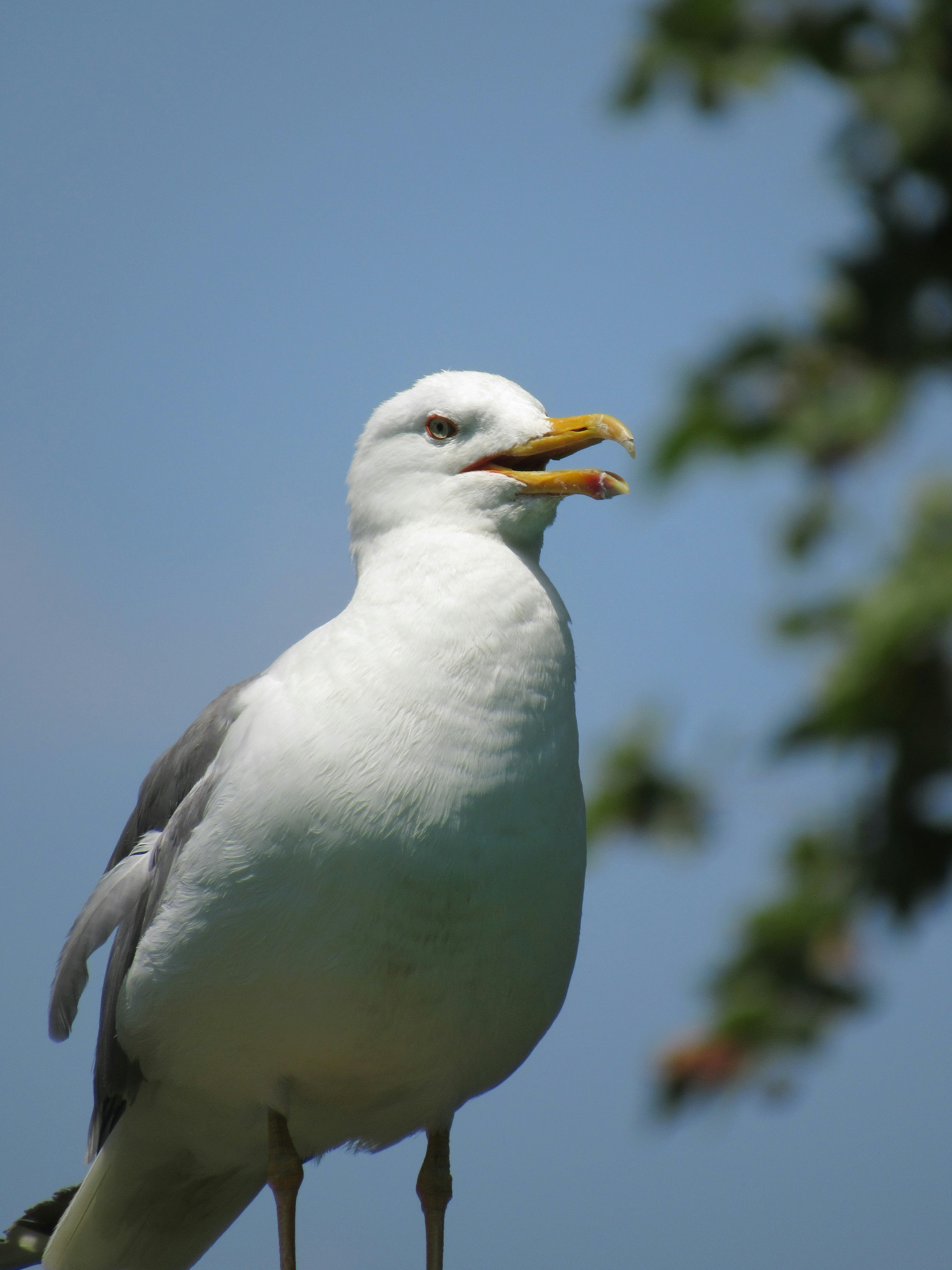 Photo by omarsabra64