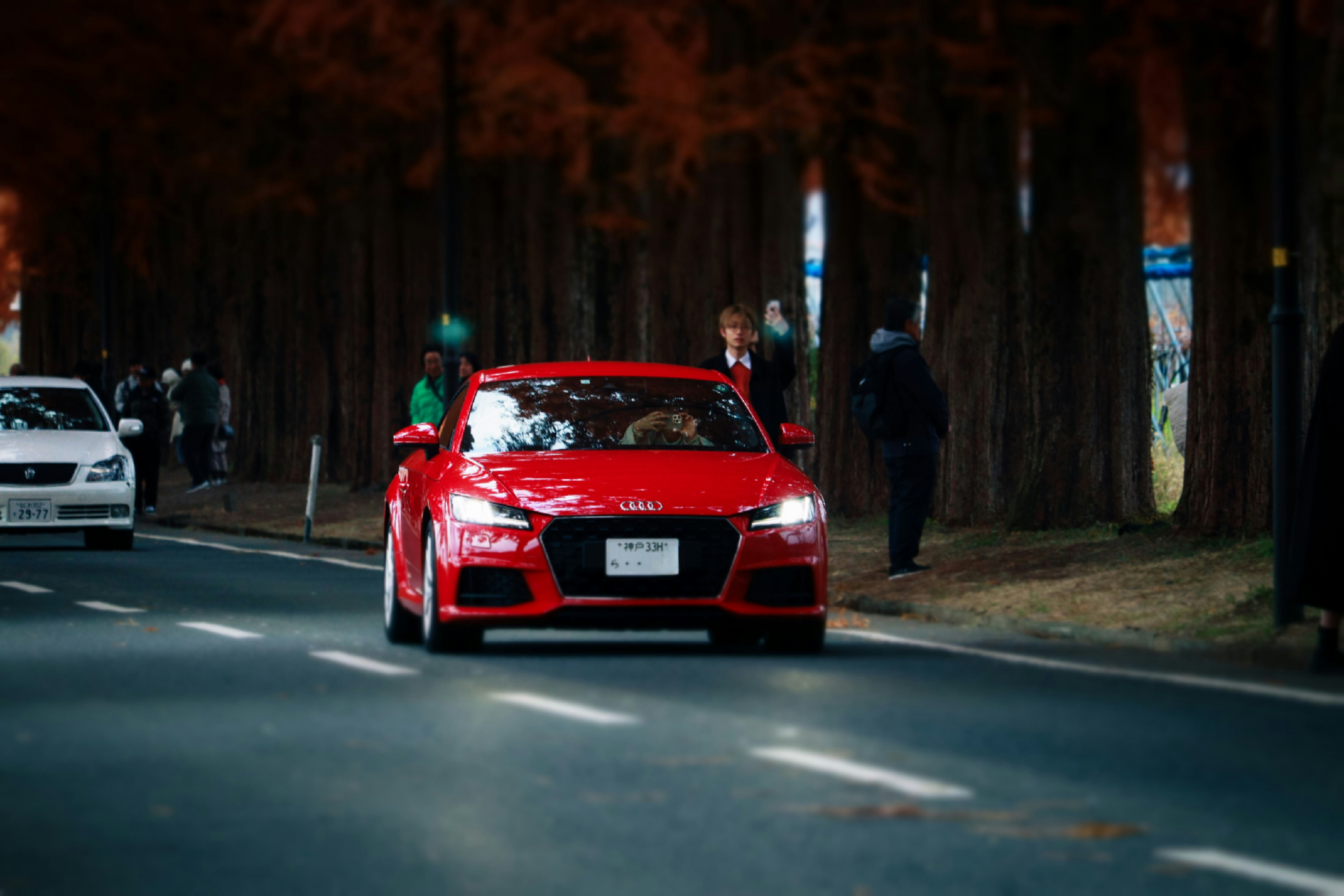 森の隣の通りを走る赤い車