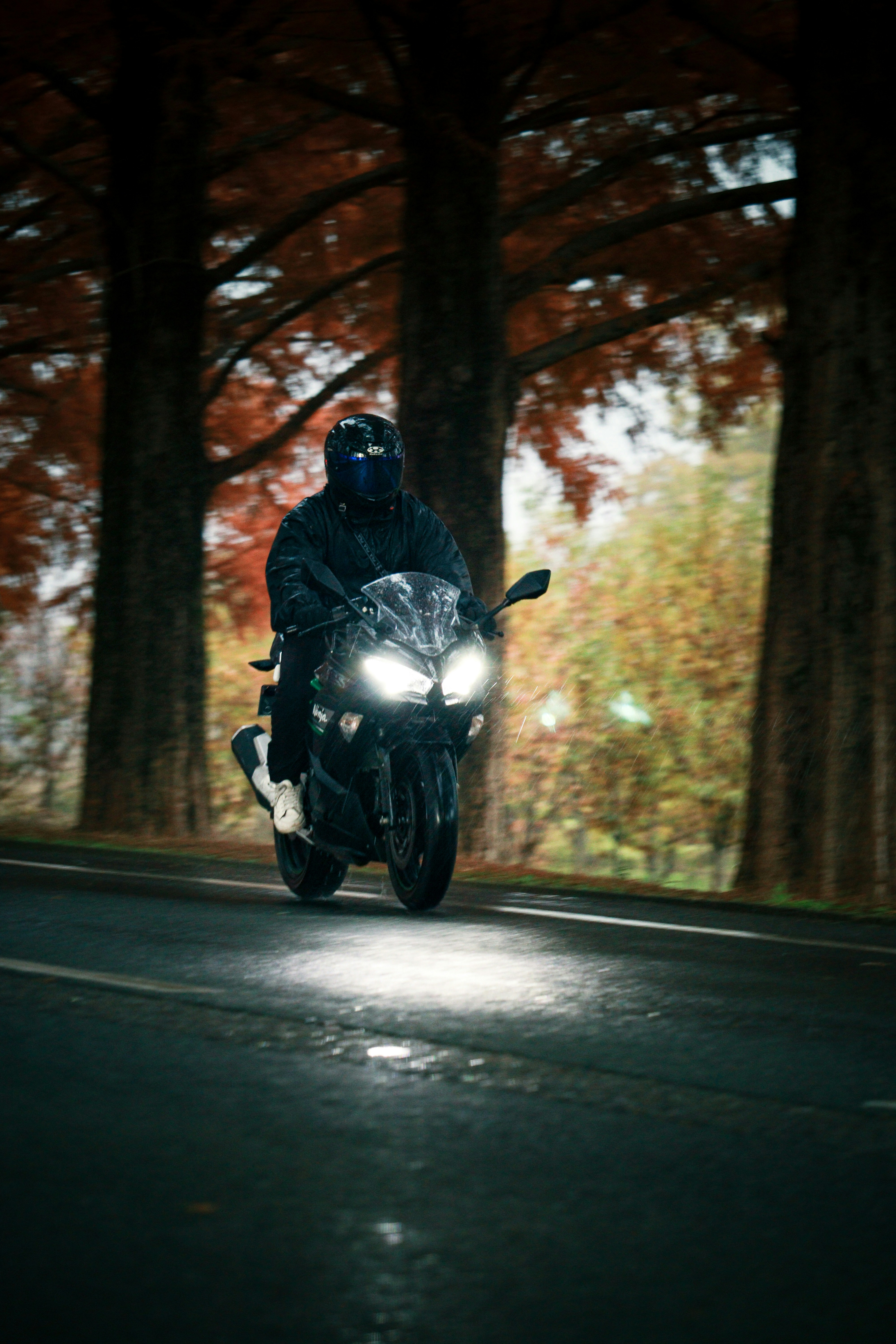 Photo by naturalphotos08