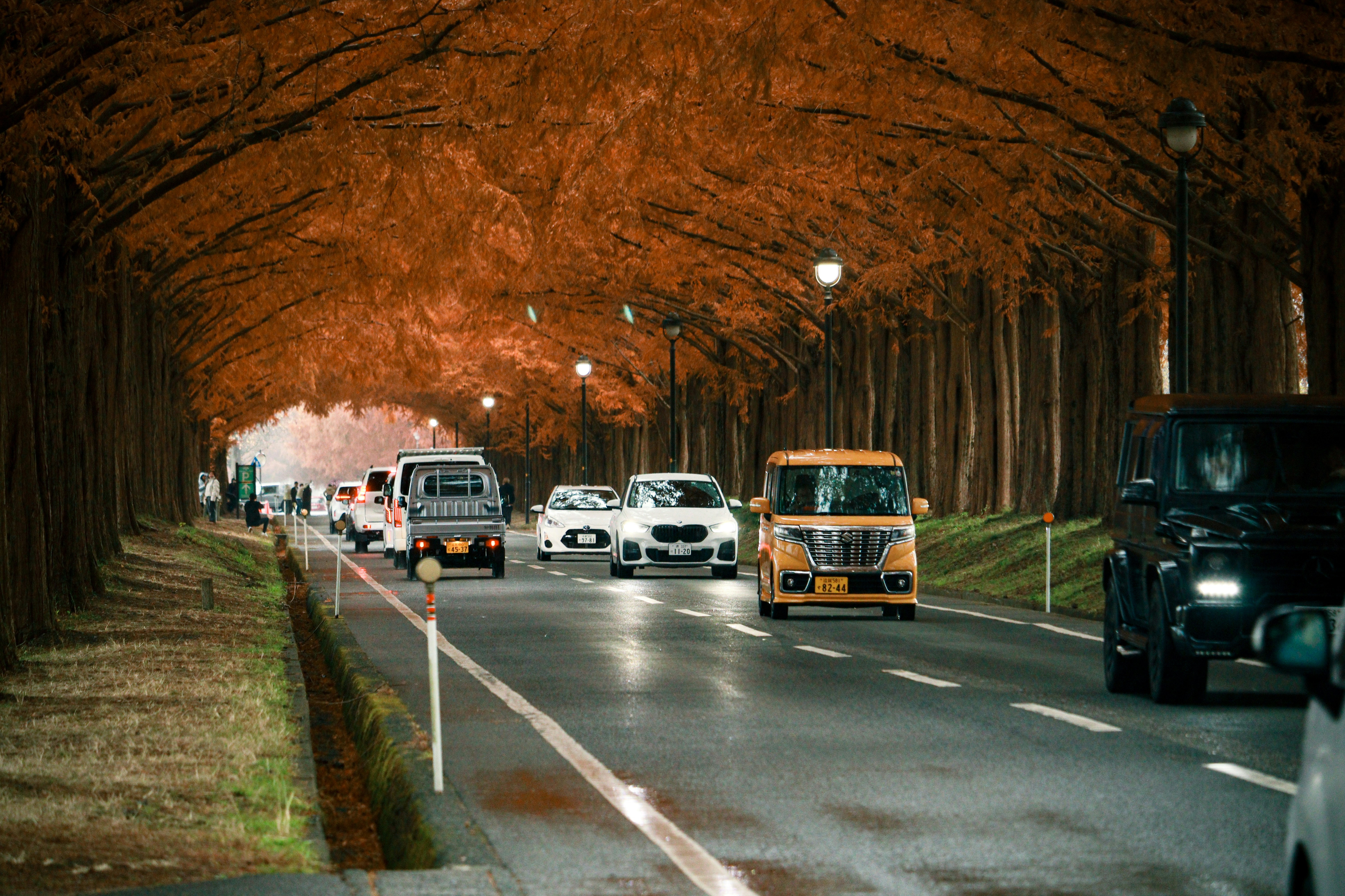 A street filled with lots of traffic next to tall trees