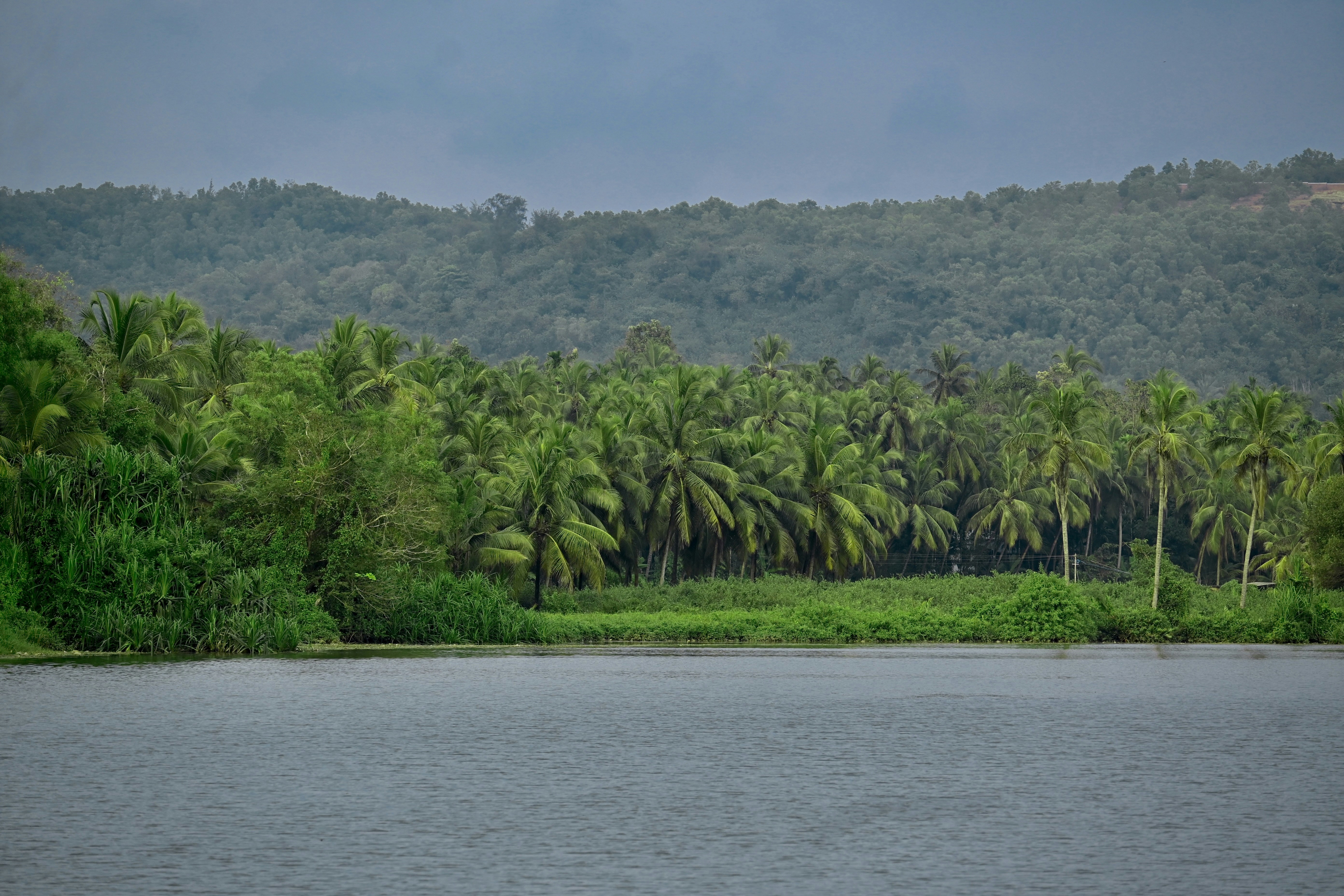 Photo by praswinprakashan