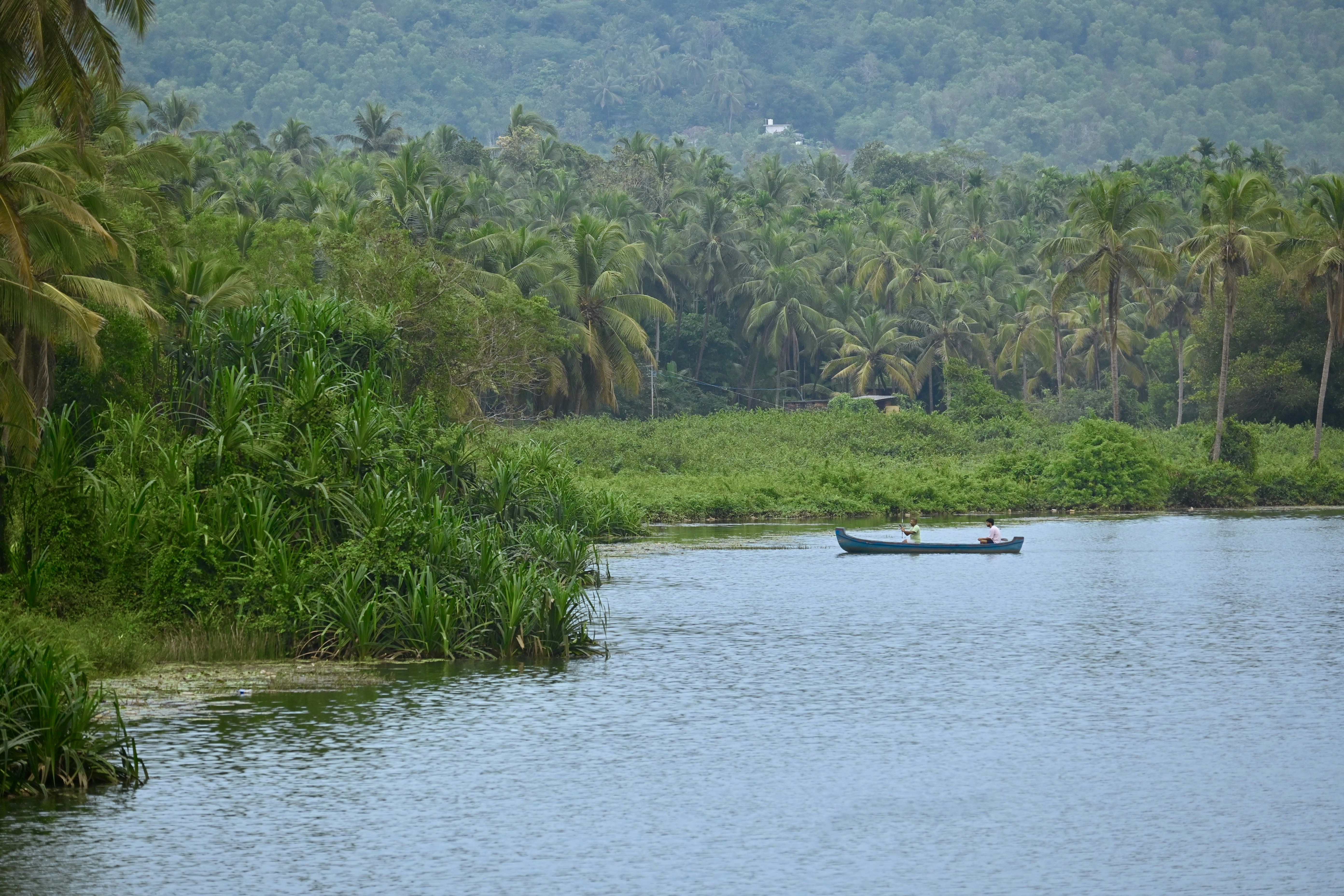Photo by praswinprakashan