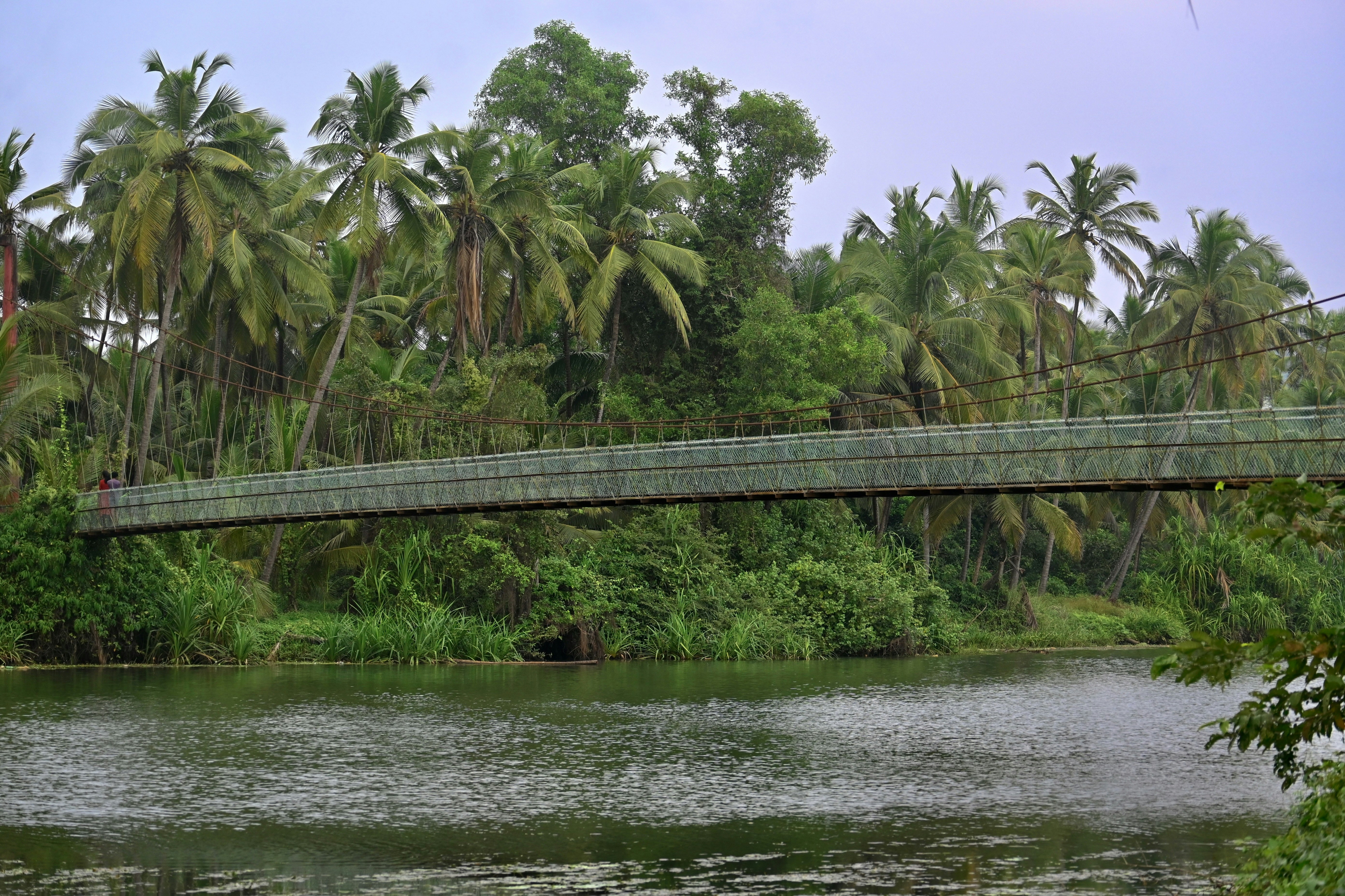 Photo by praswinprakashan