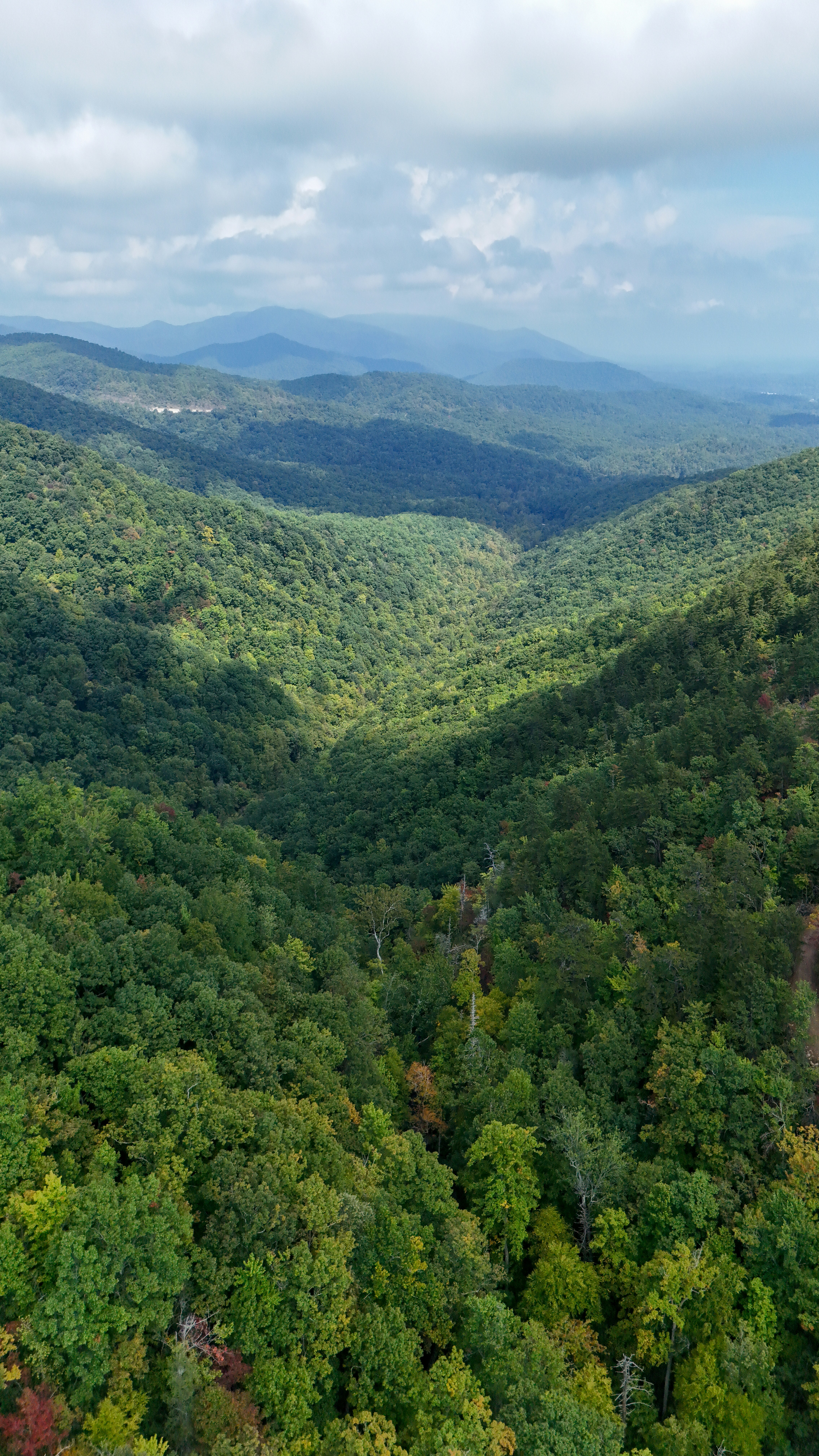 Photo by bartgriensven