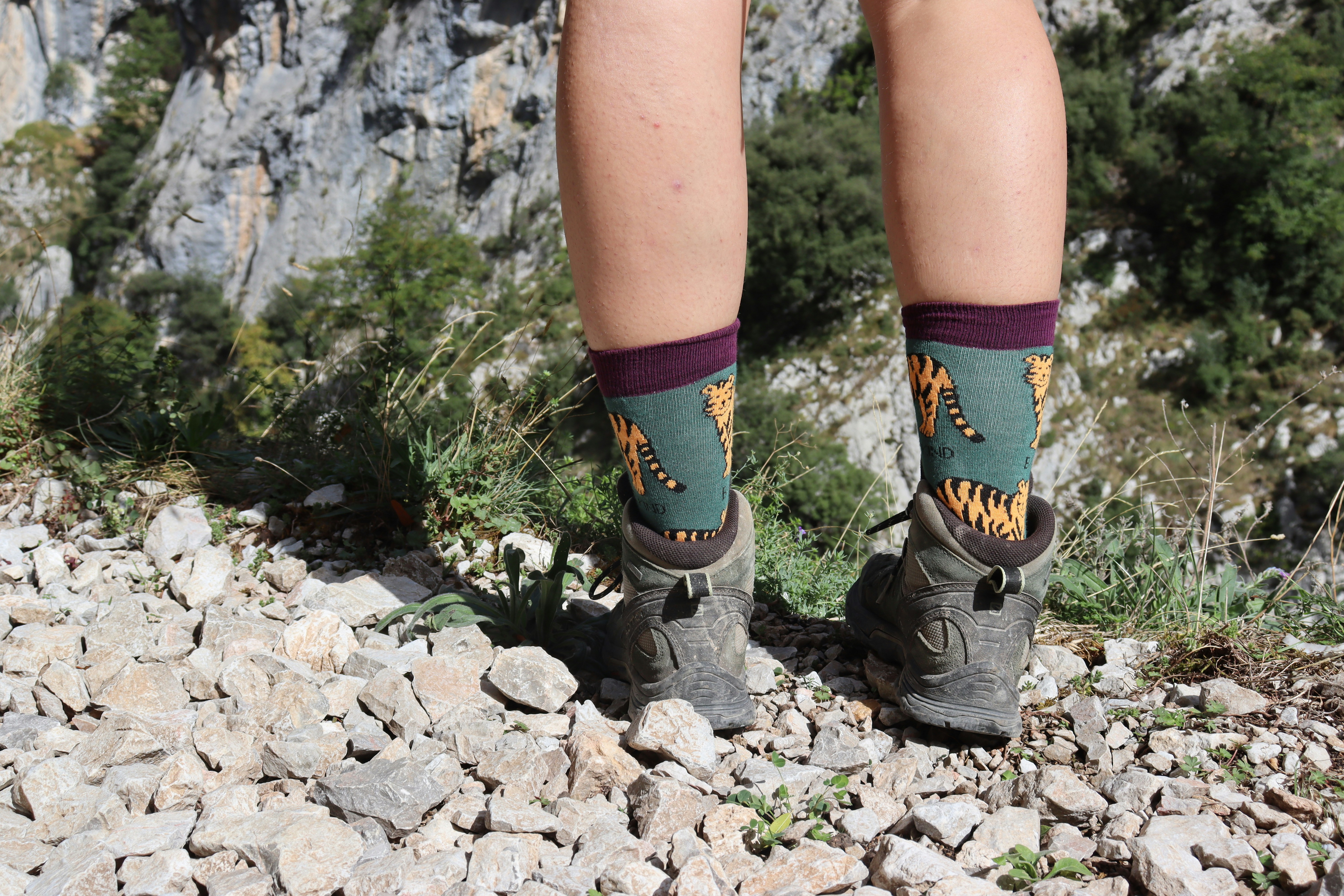 A person standing on a rocky trail wearing hiking boots photo – Free ...