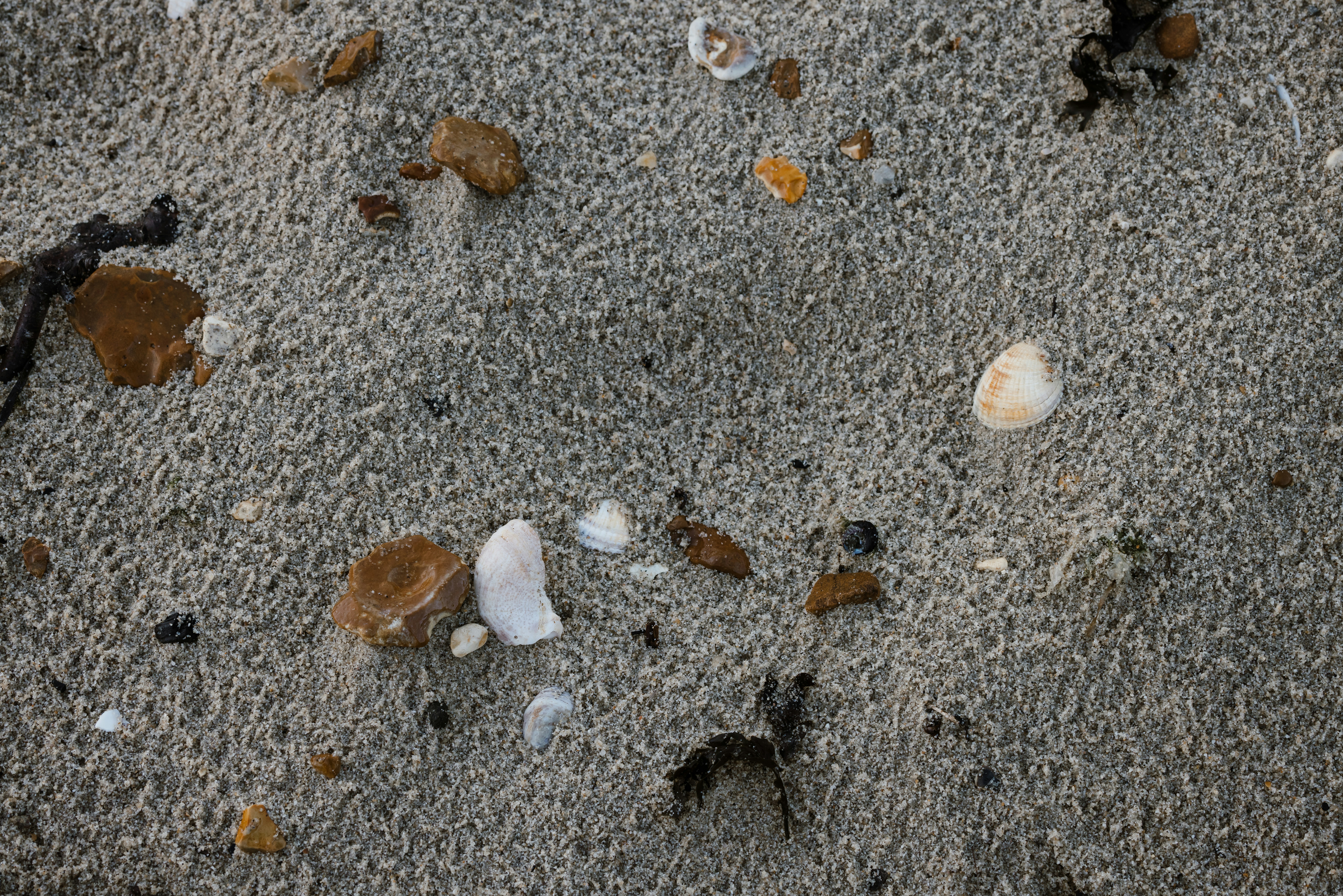 Photo by anniespratt