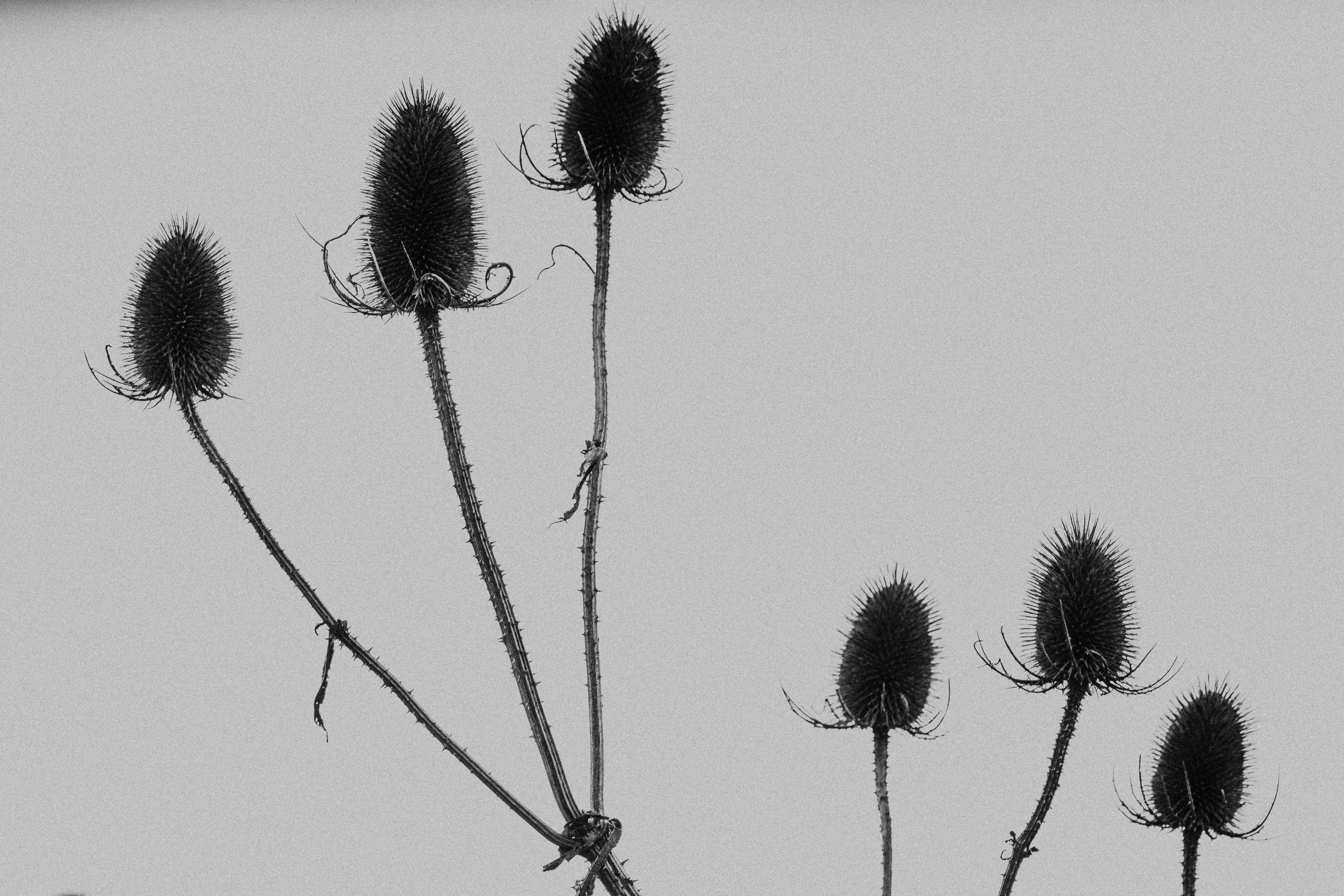 Photo by anniespratt