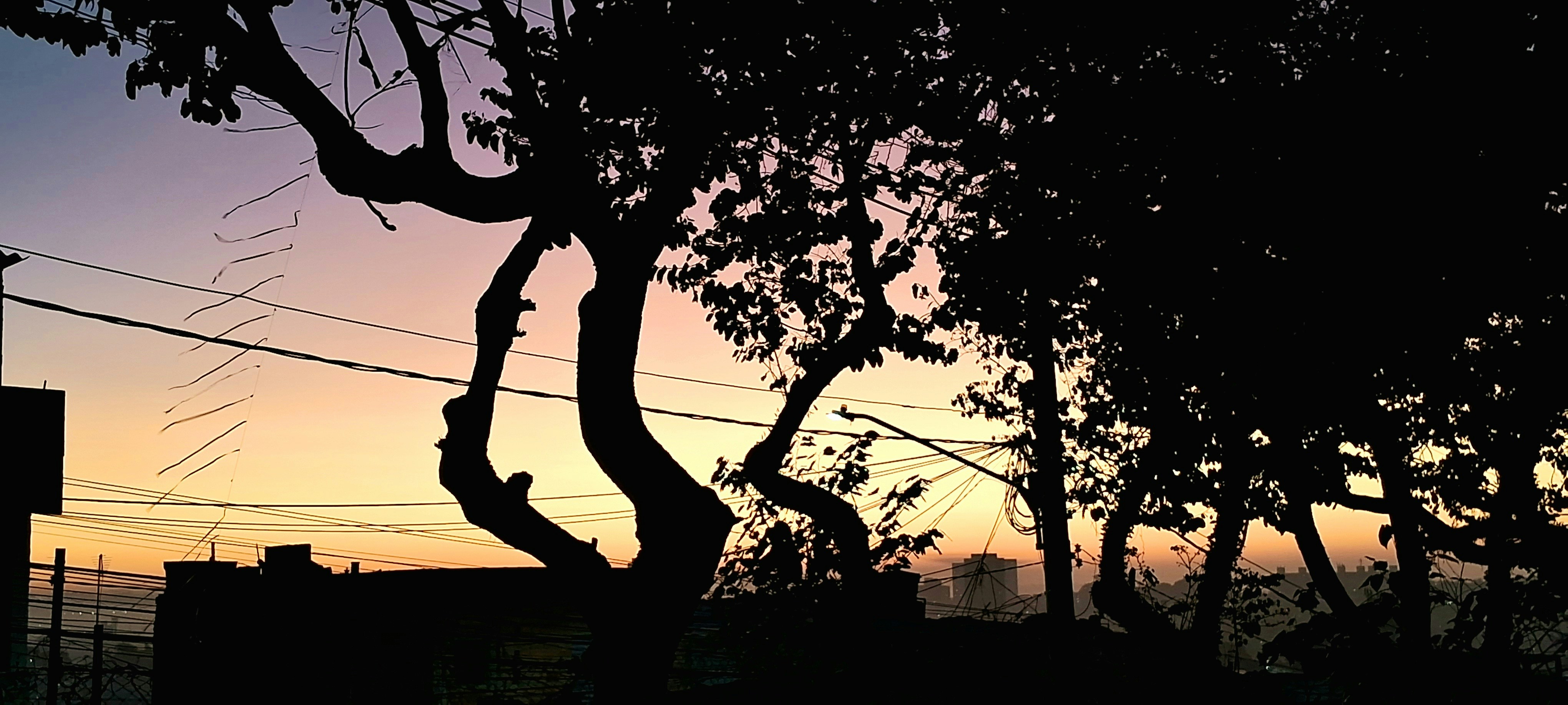 Photo by cultzonethereal