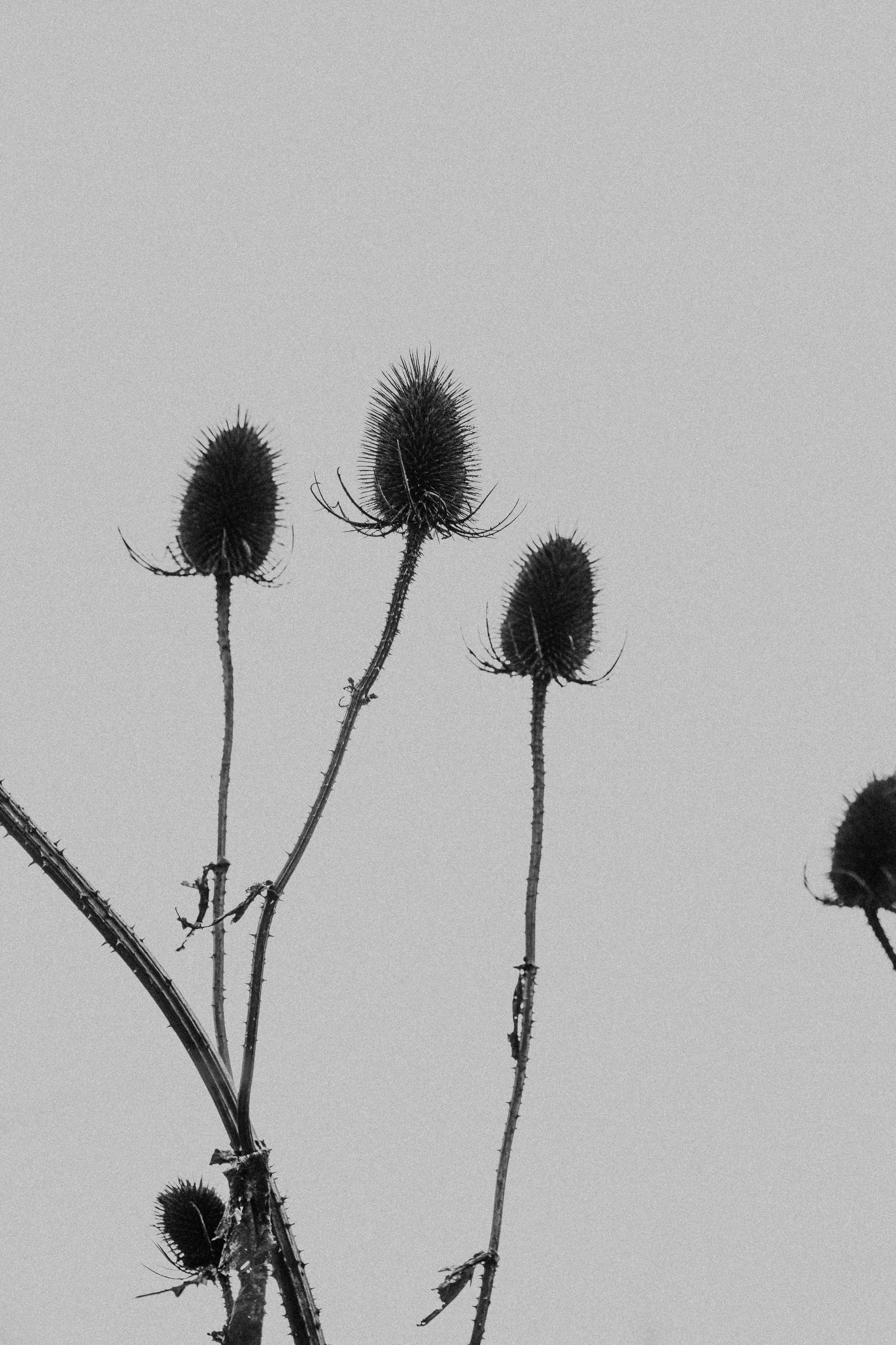 Photo by anniespratt