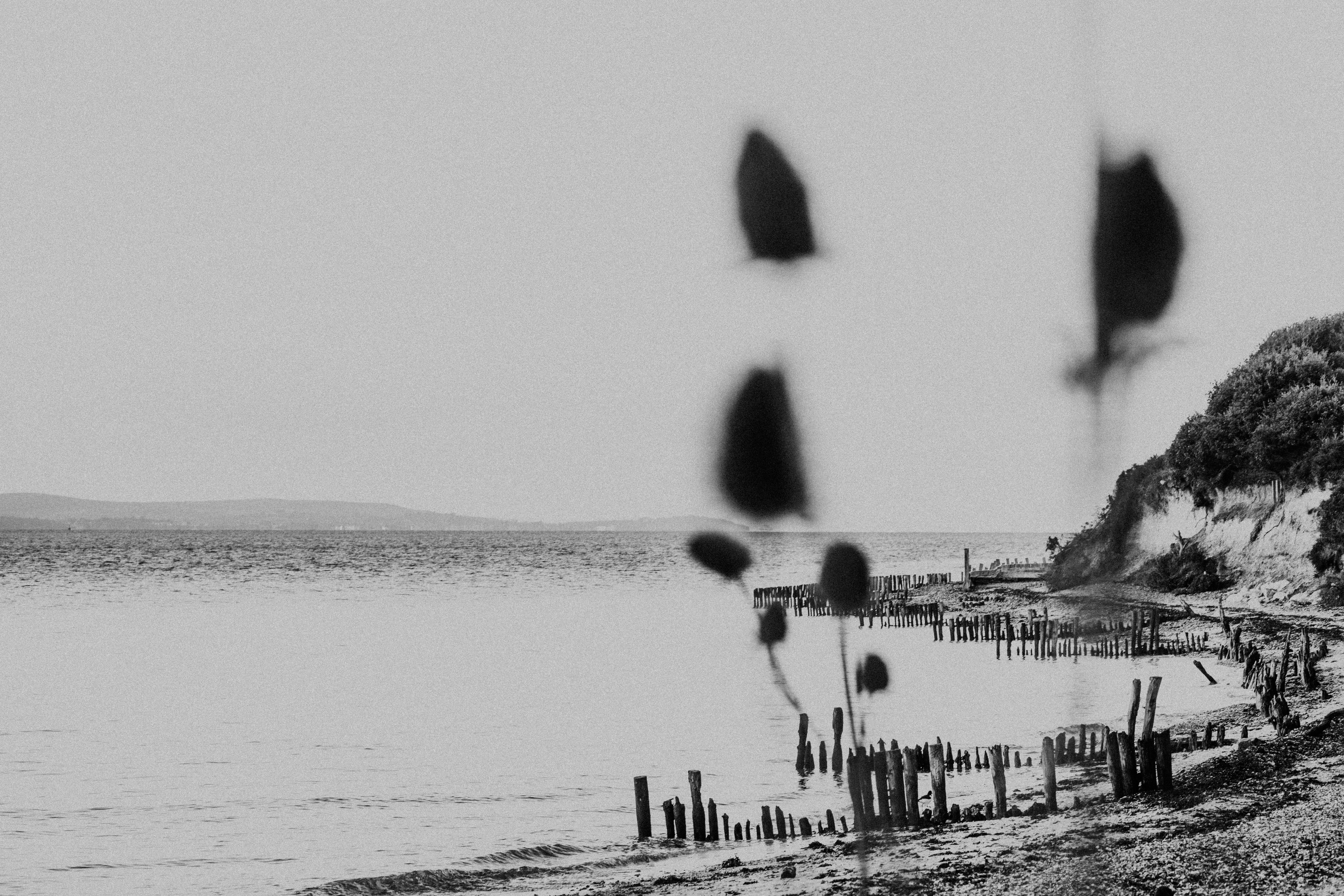 Photo by anniespratt