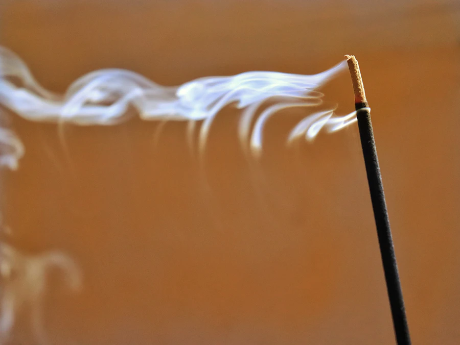 https://images.unsplash.com/photo-1733749843890-4a3ebb9fdd90?auto=format&fit=crop&w=900&q=80