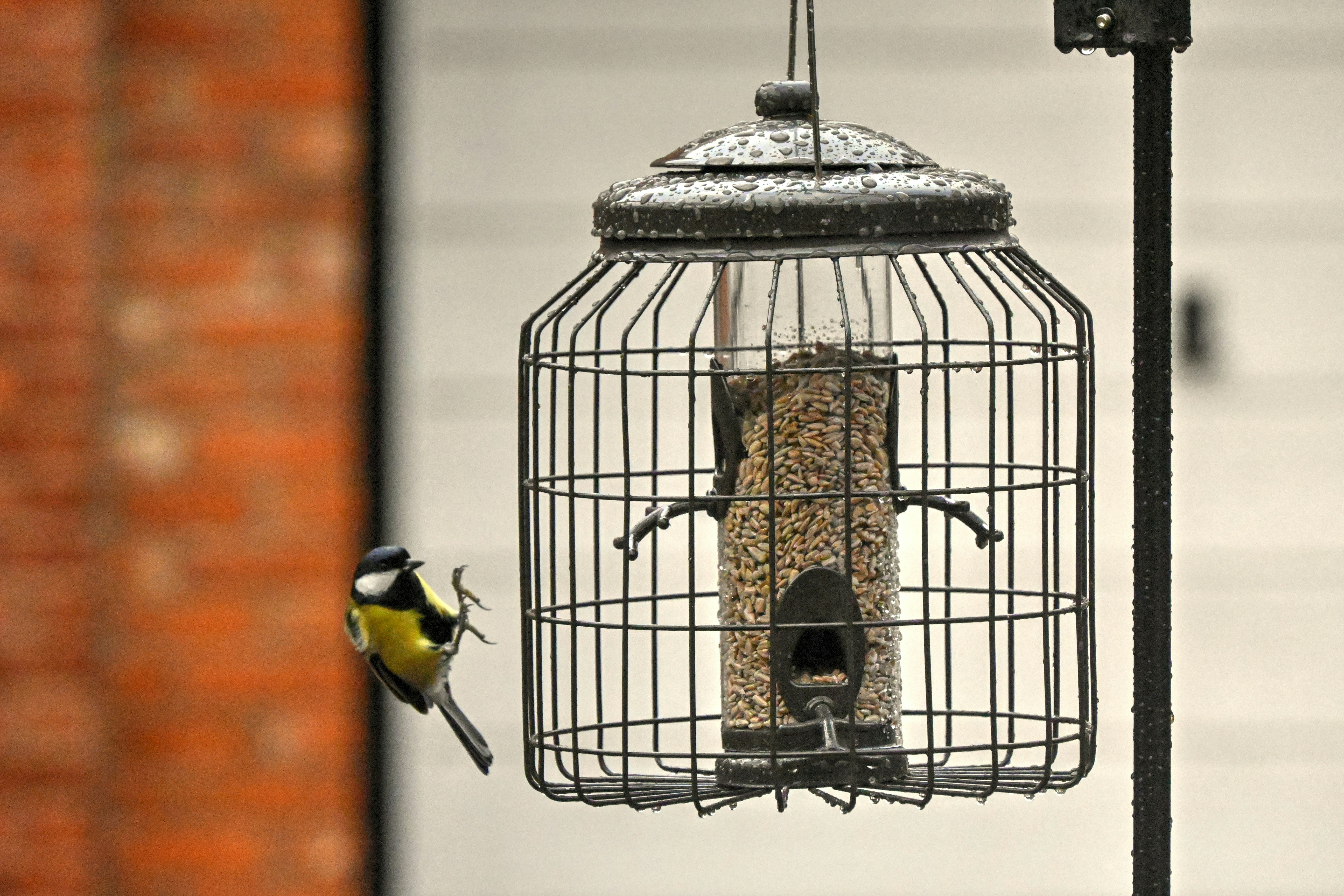 A bird feeder hanging from a pole next to a brick building