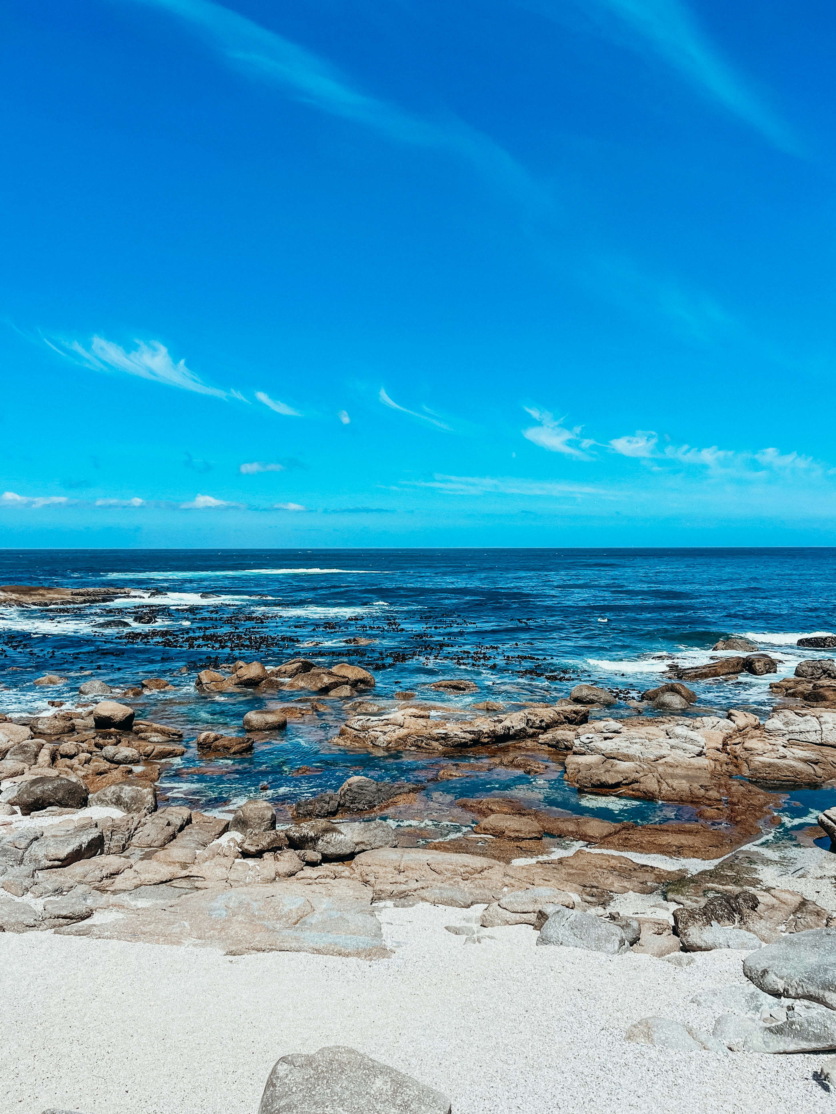 Photo by buluu_p0ppy