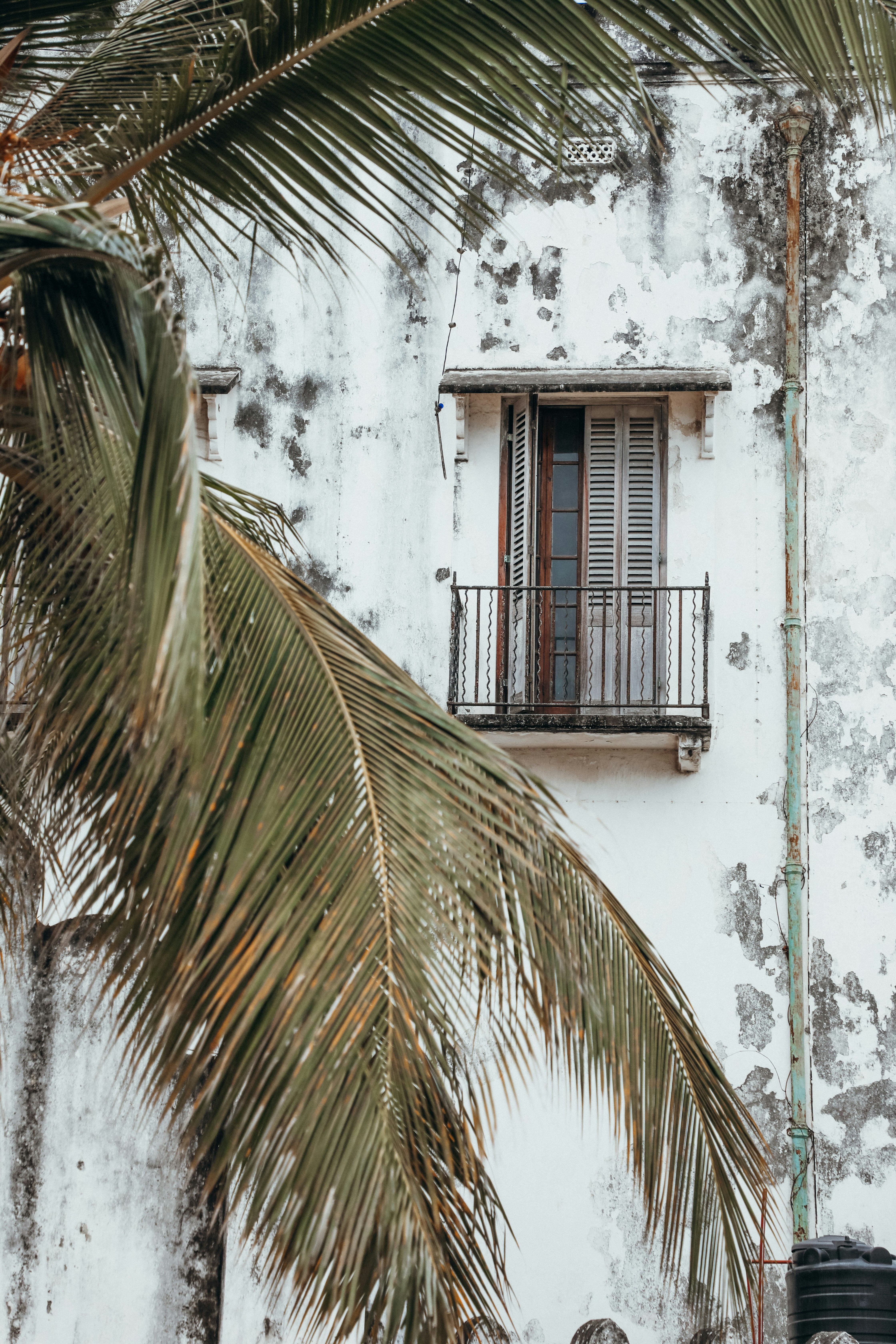 Zanzibar Stone Town – Transportation & Getting Around