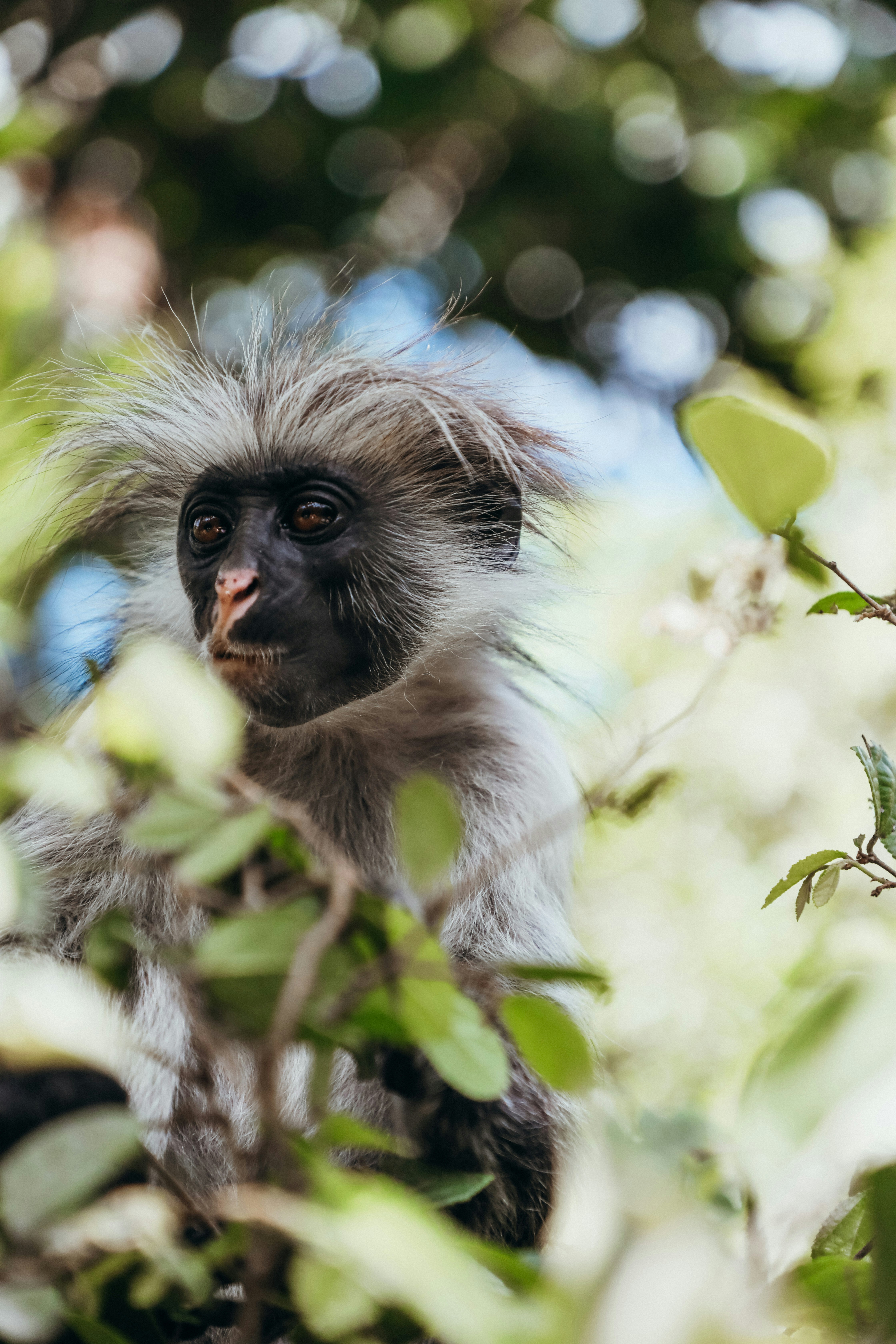 Photo by buluu_p0ppy