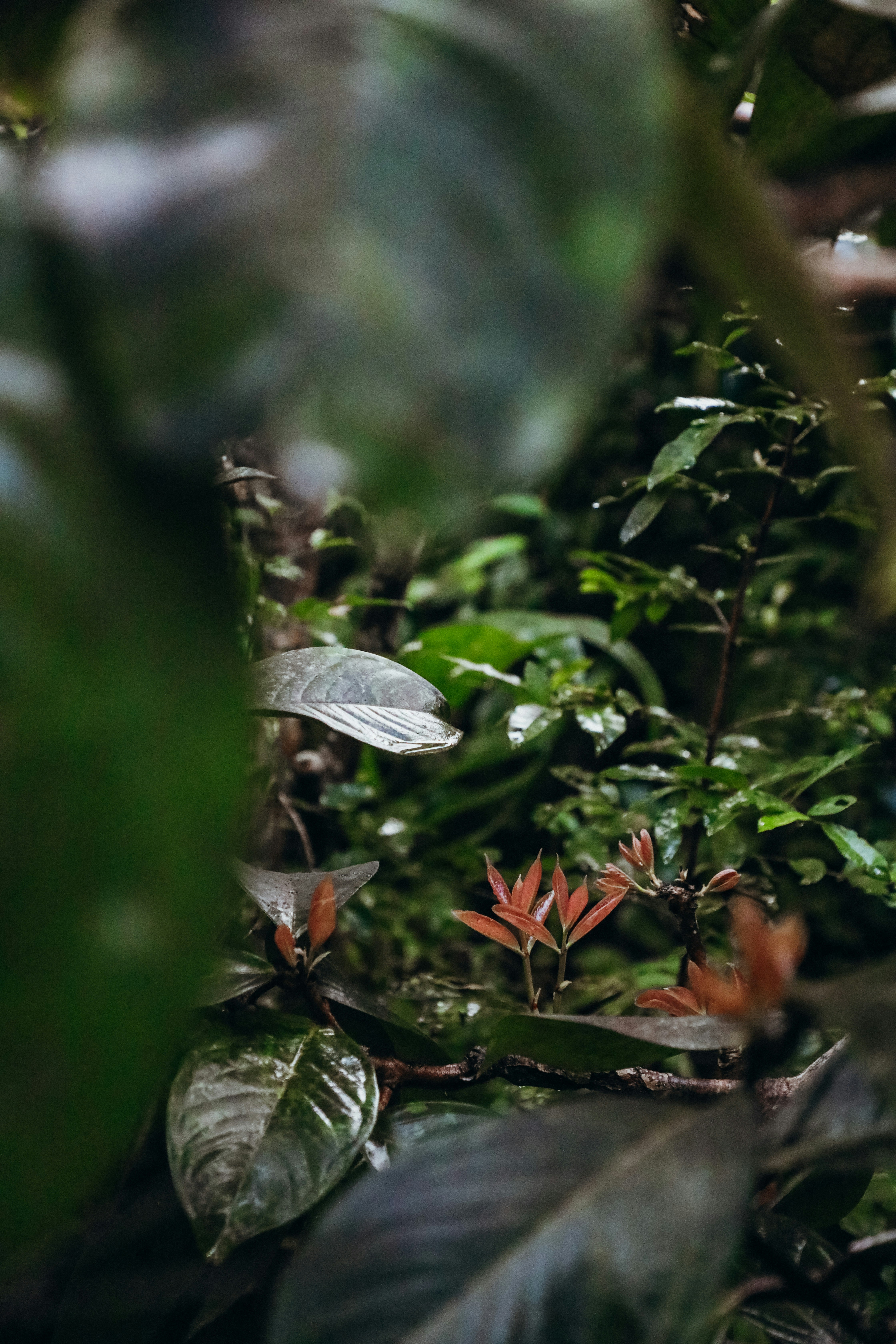 Photo by buluu_p0ppy