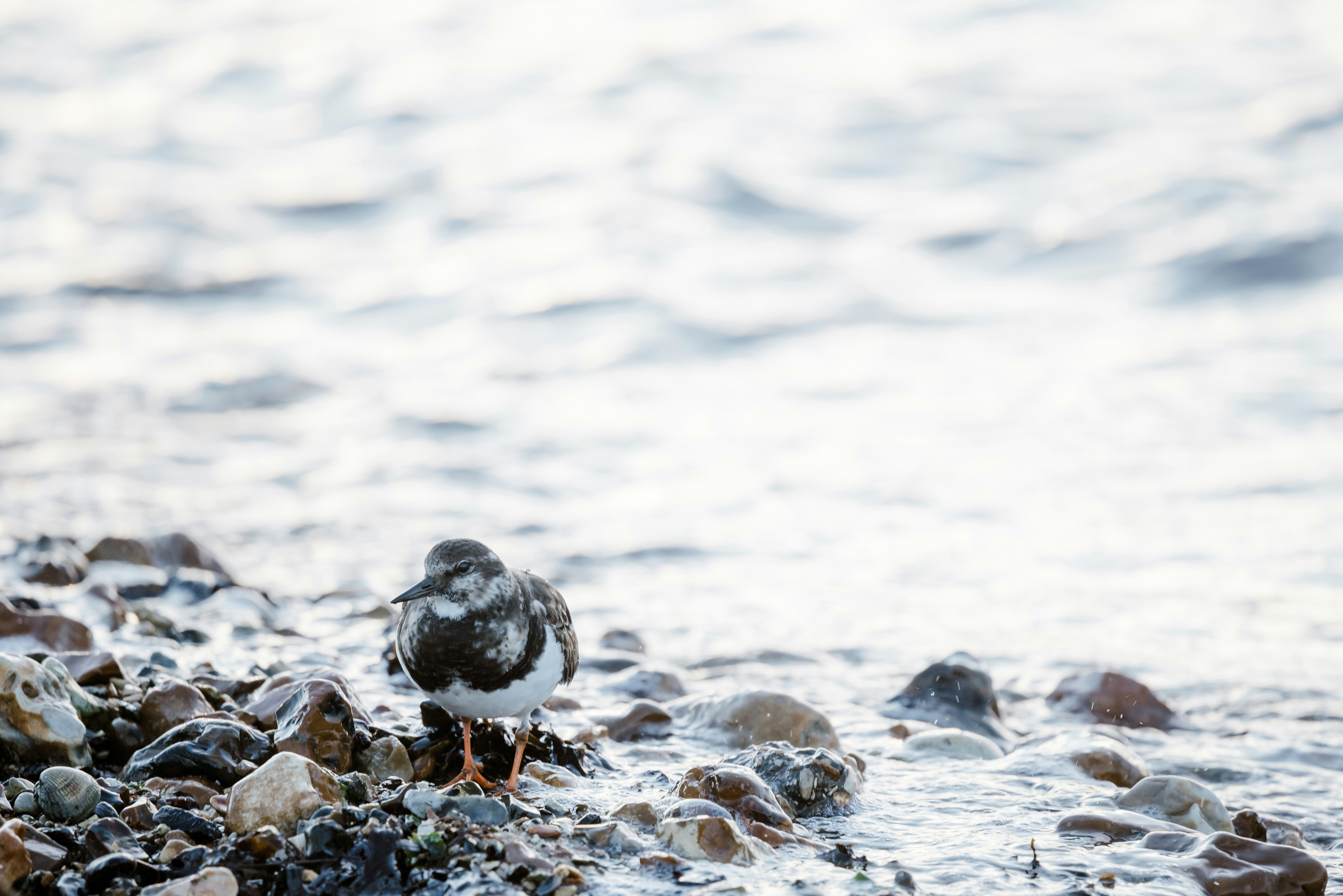 Photo by anniespratt