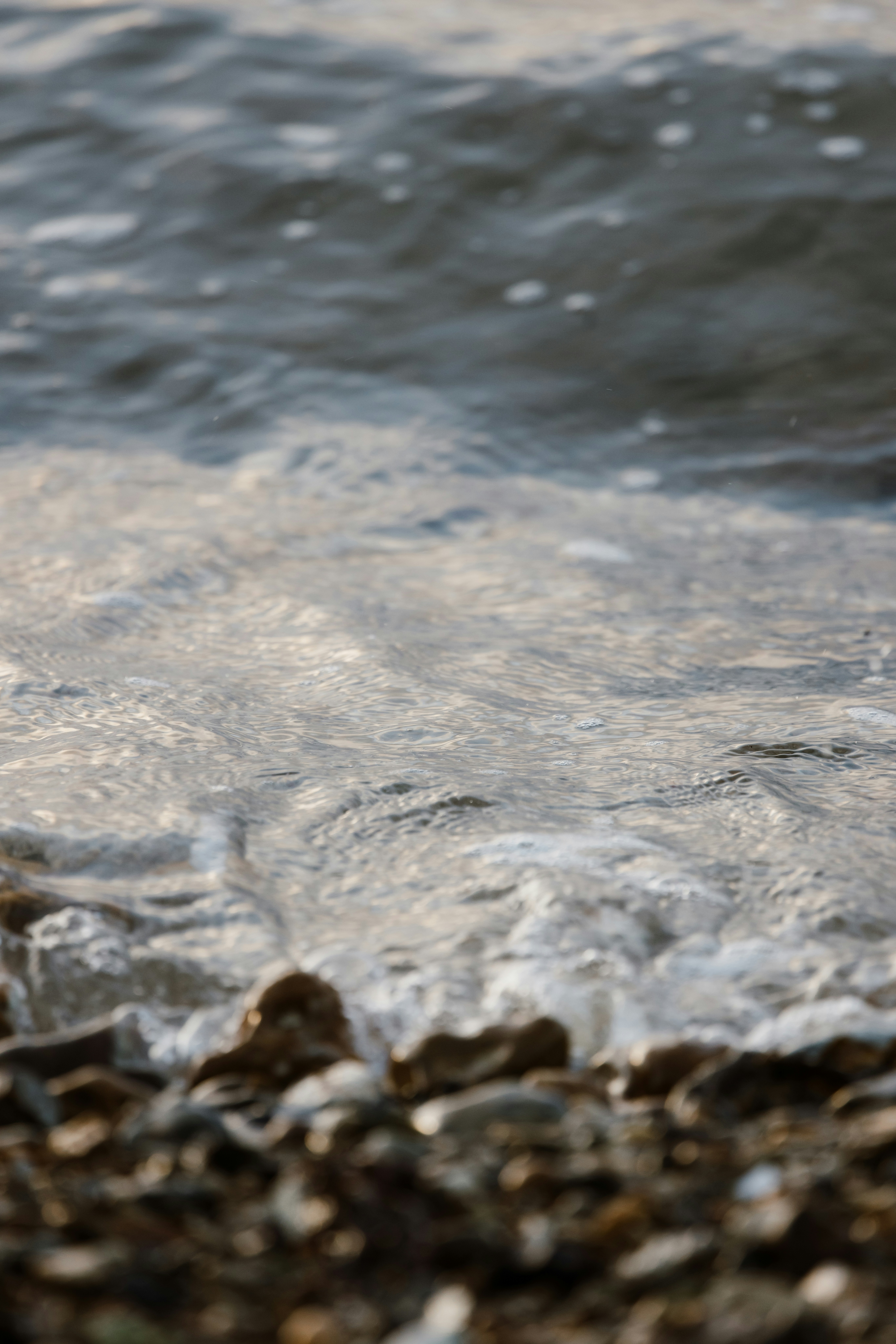 Photo by anniespratt