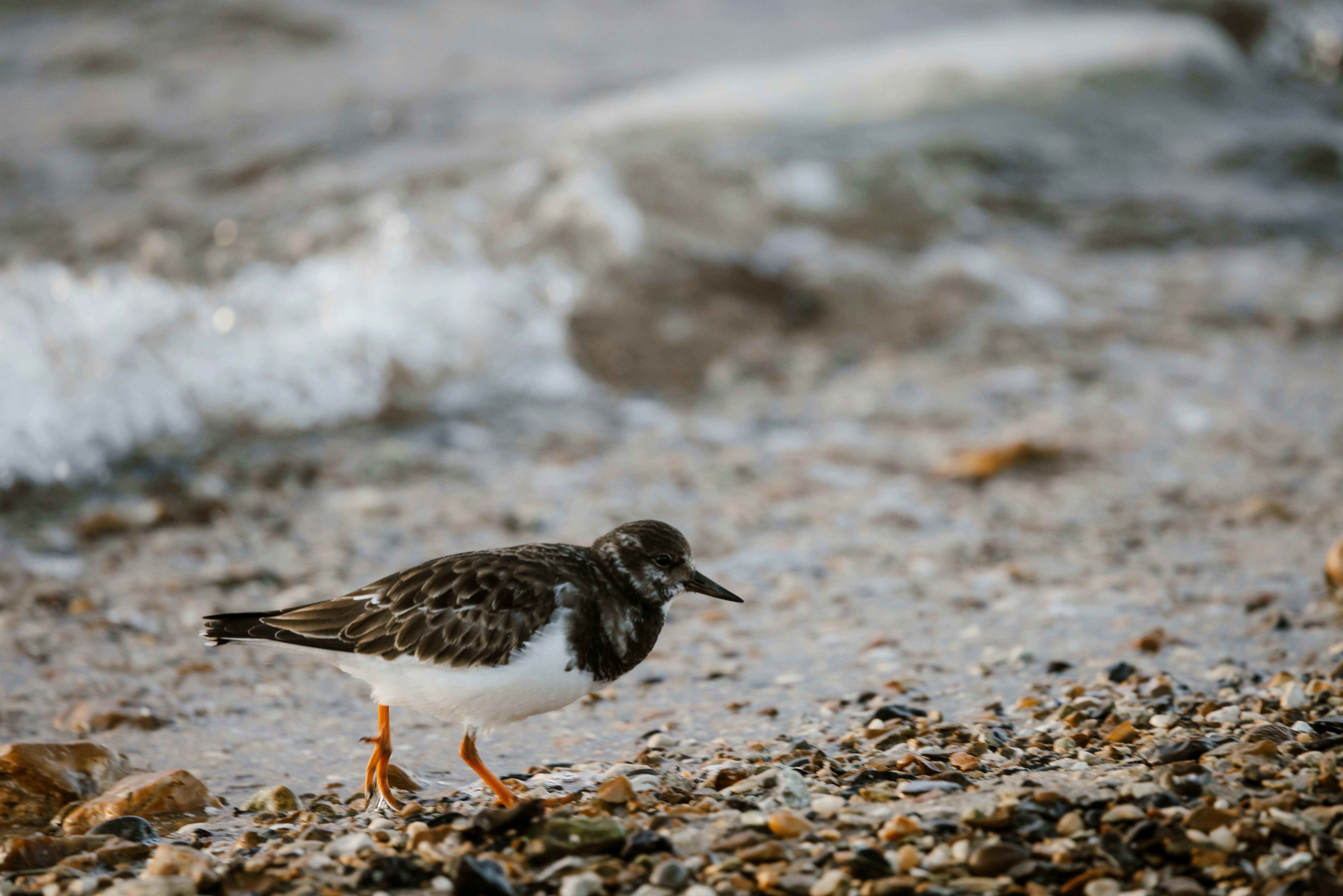 Photo by anniespratt