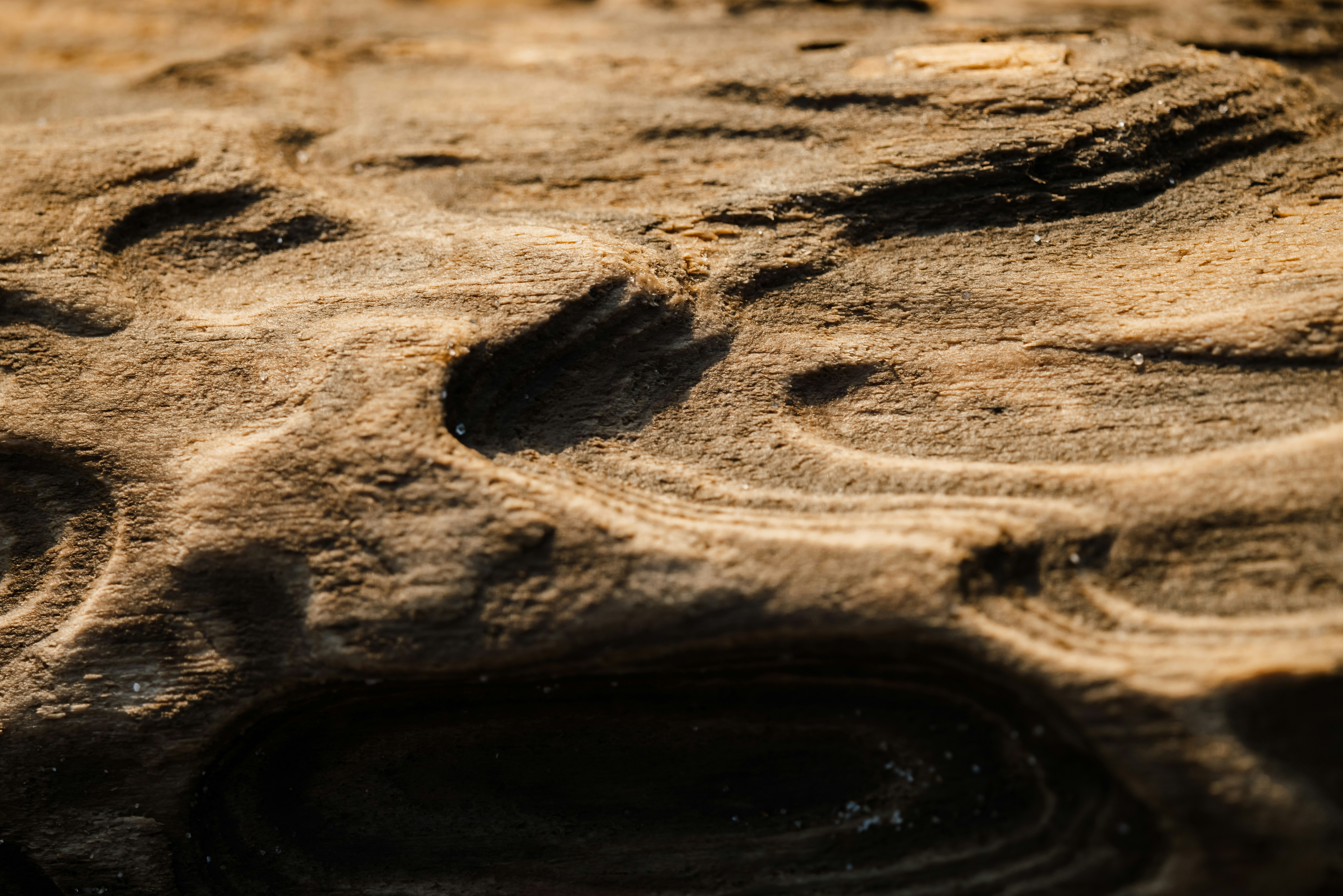 Photo by anniespratt