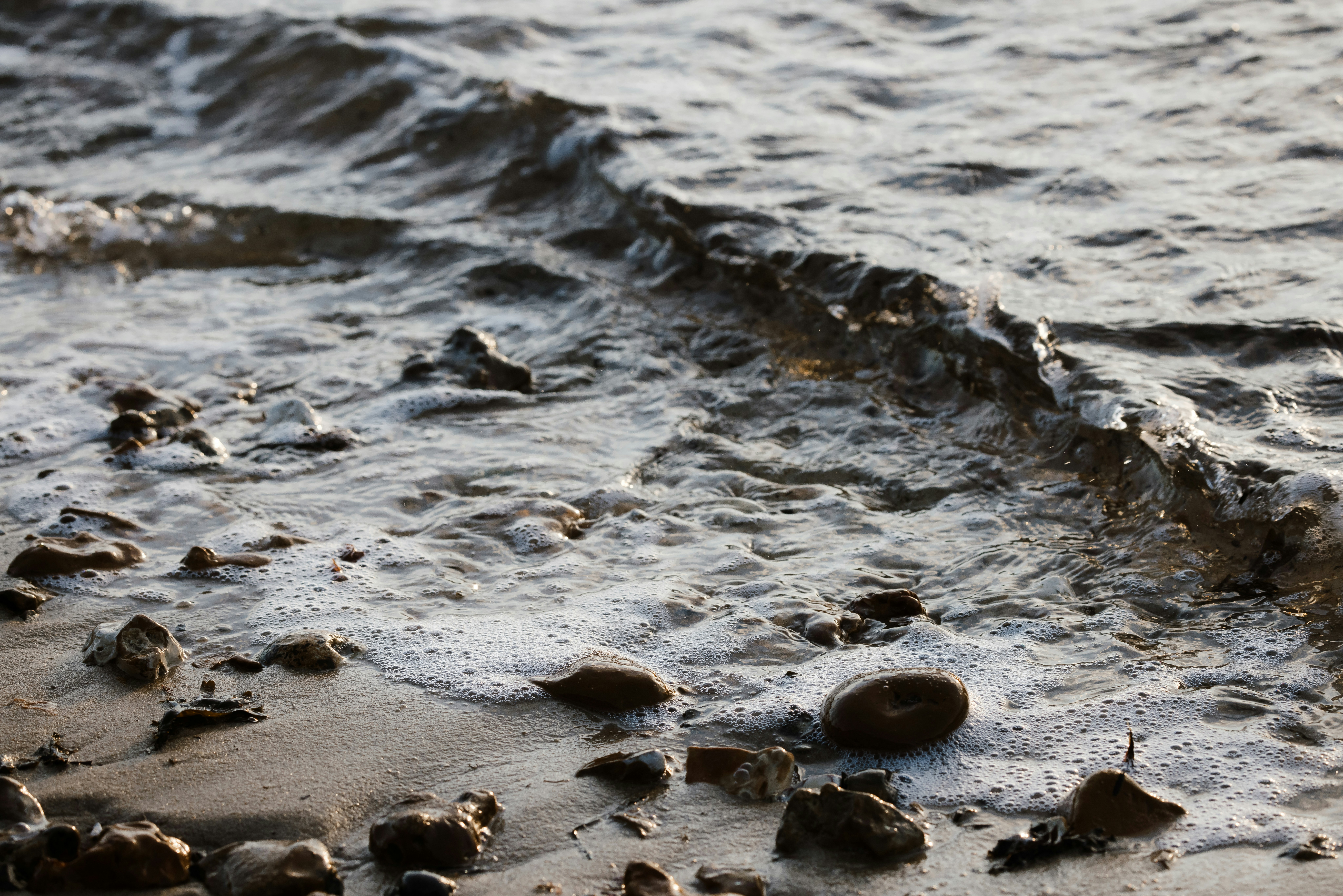 Photo by anniespratt