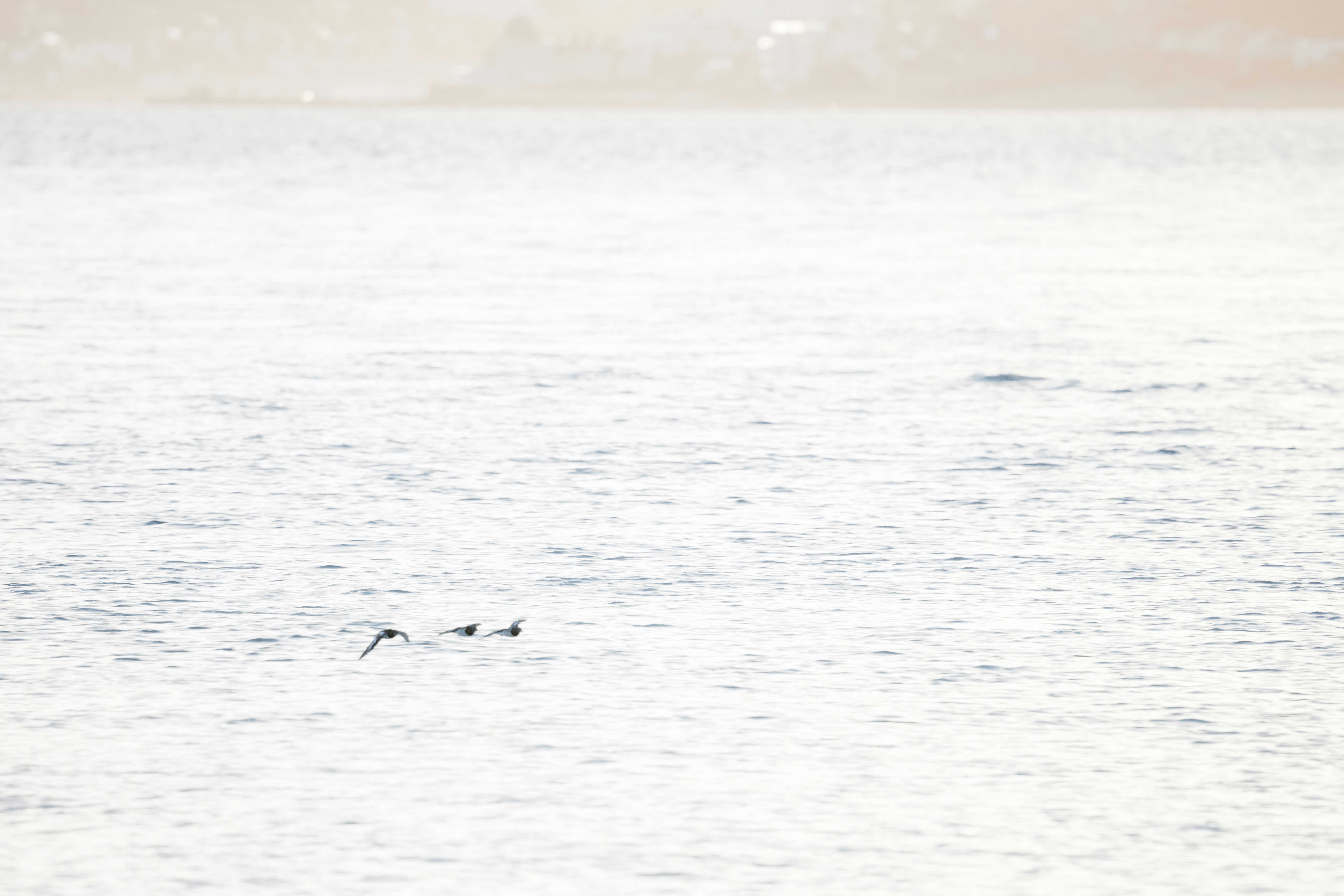 Photo by anniespratt