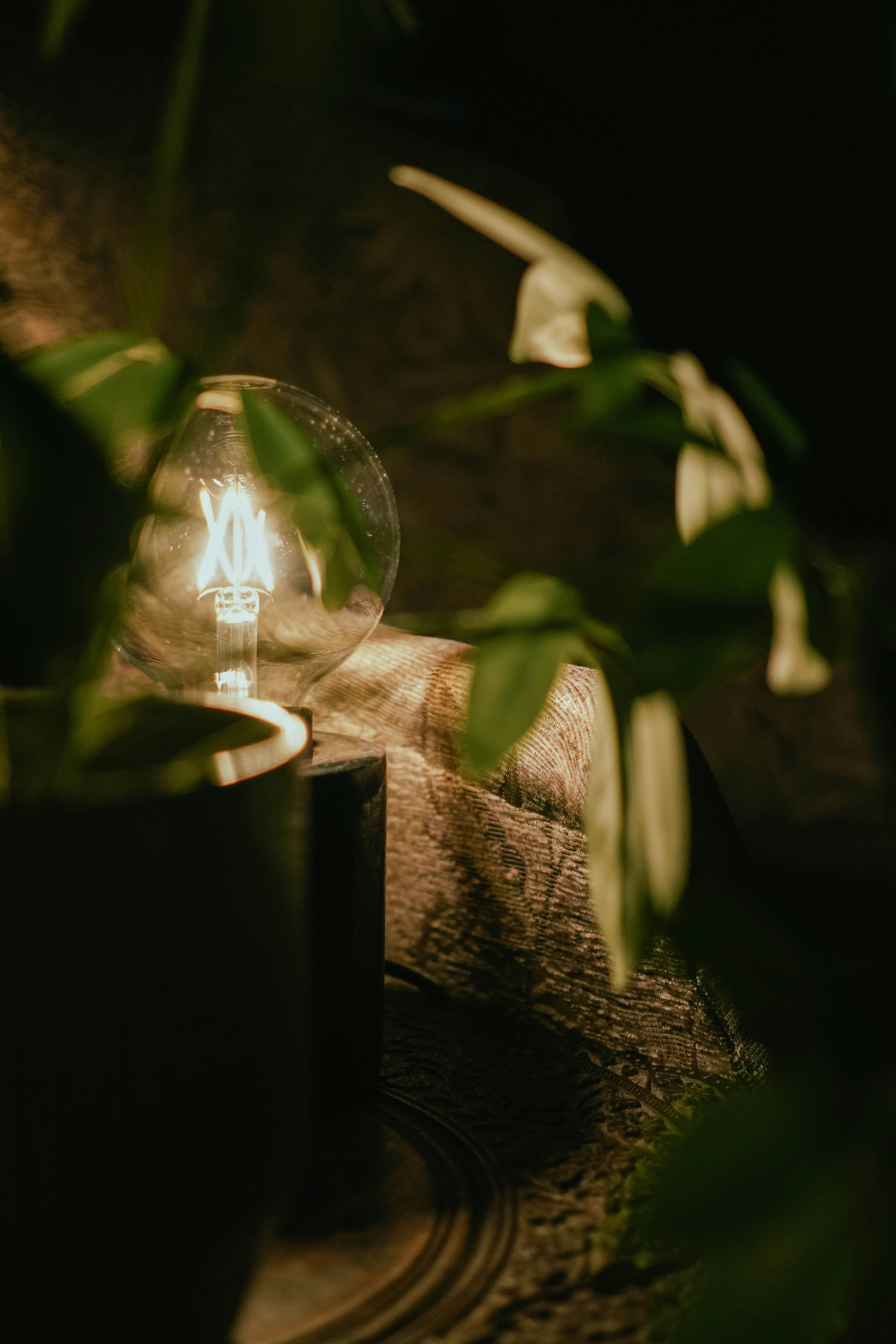 Photo by lau_cocovrard