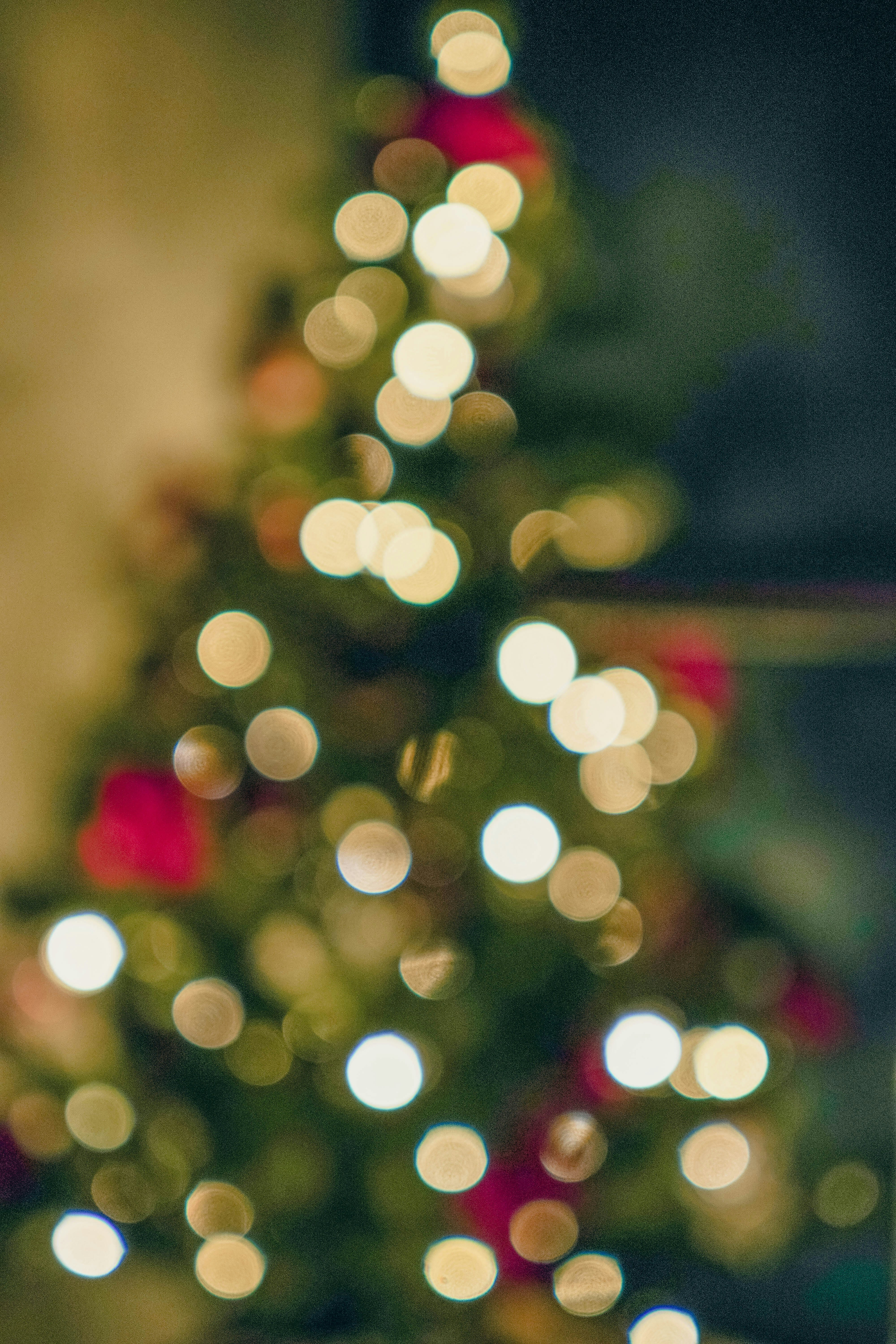 Photo by lau_cocovrard