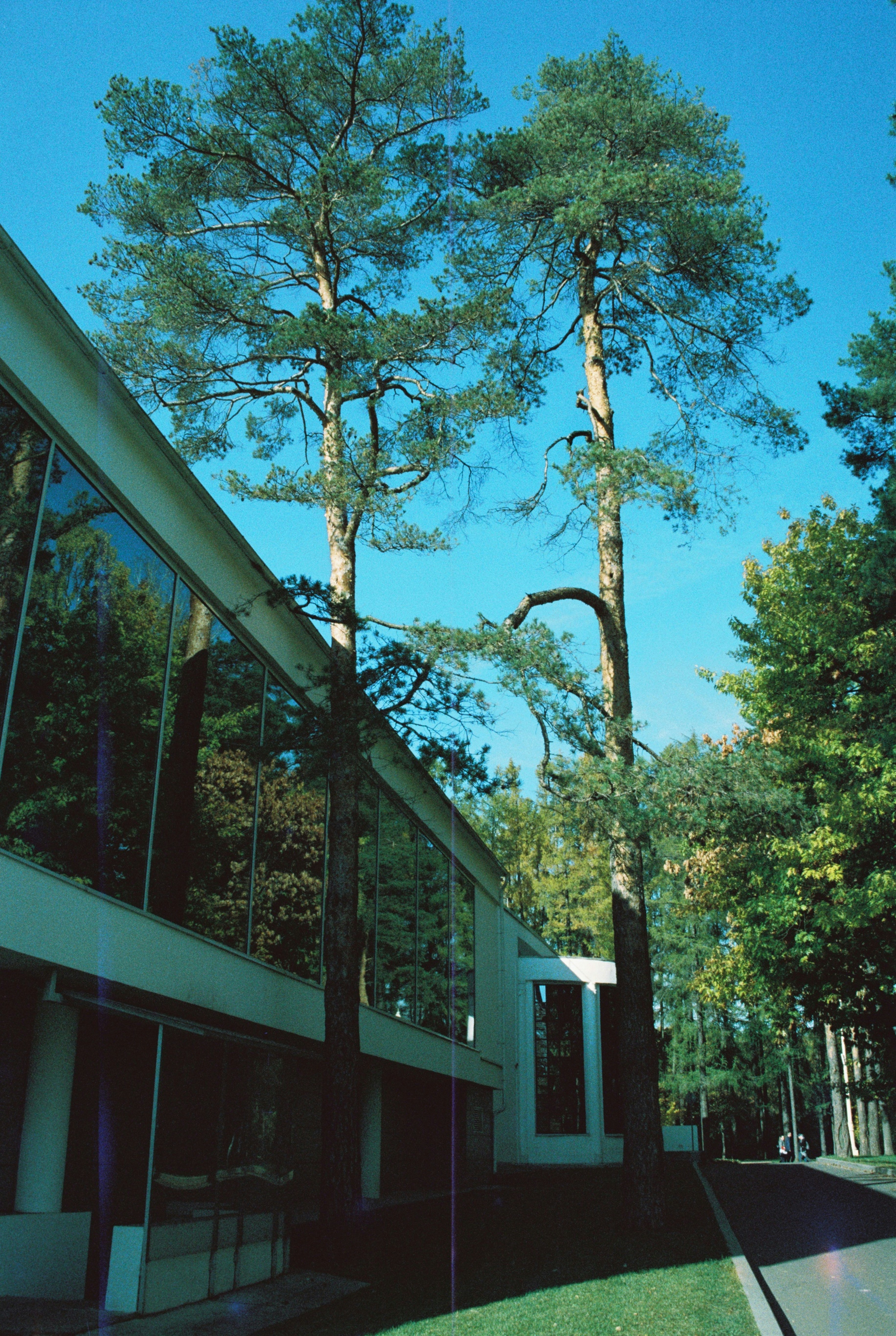 A building with trees in front of it photo – Free Forest Image on Unsplash