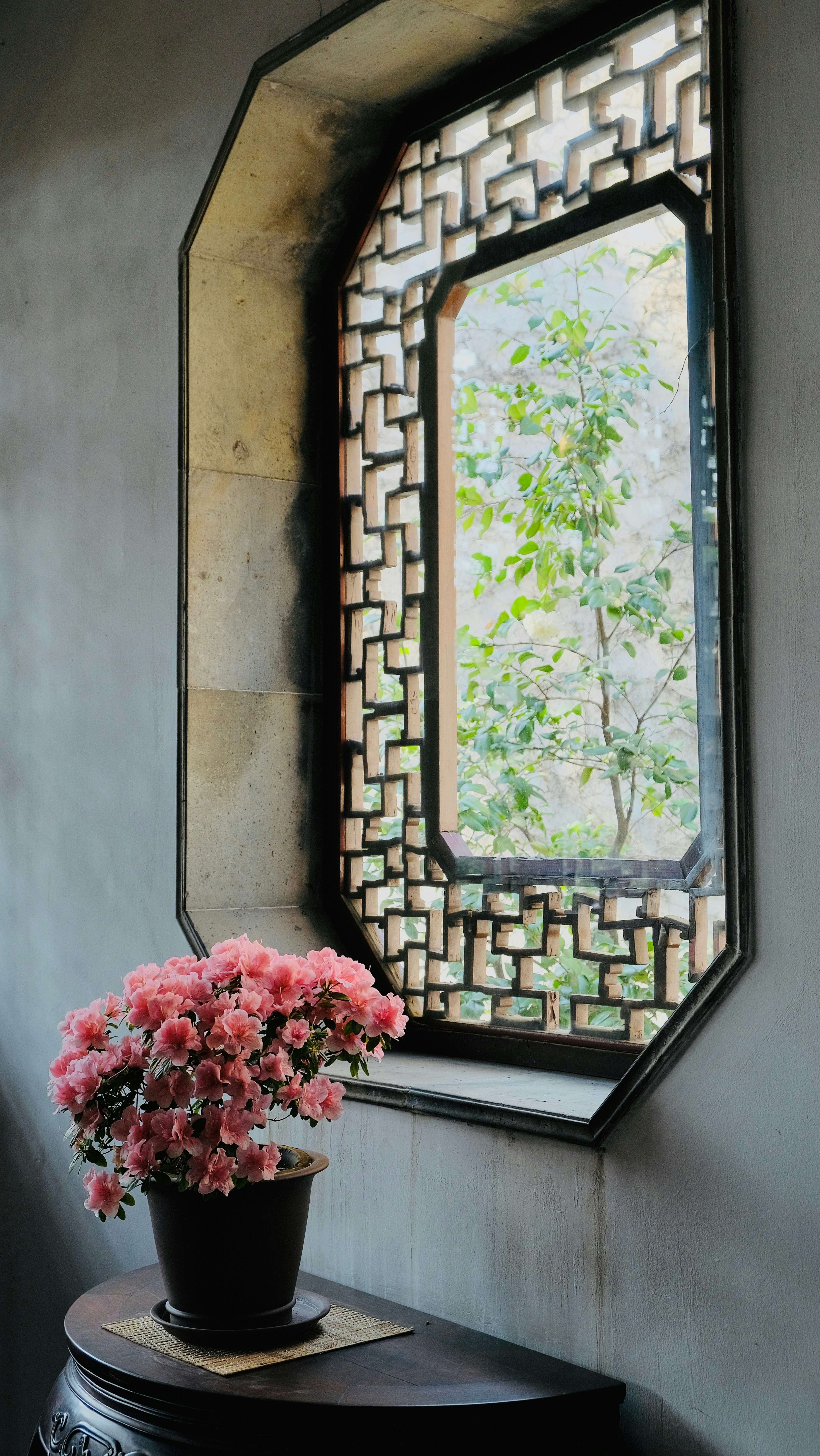 Photo by sinjintsang