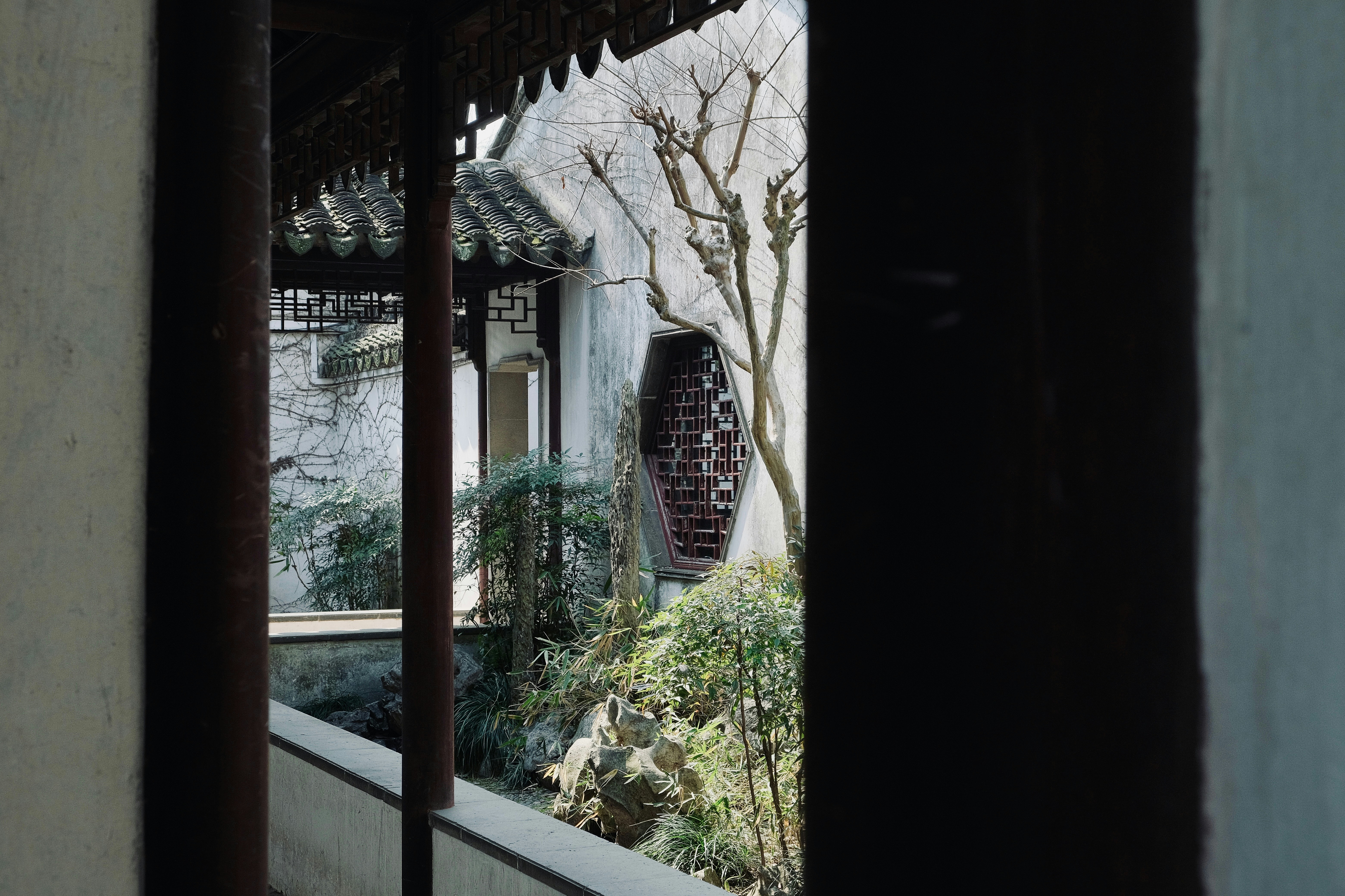 Photo by sinjintsang