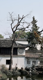 A white building with a tree in front of it