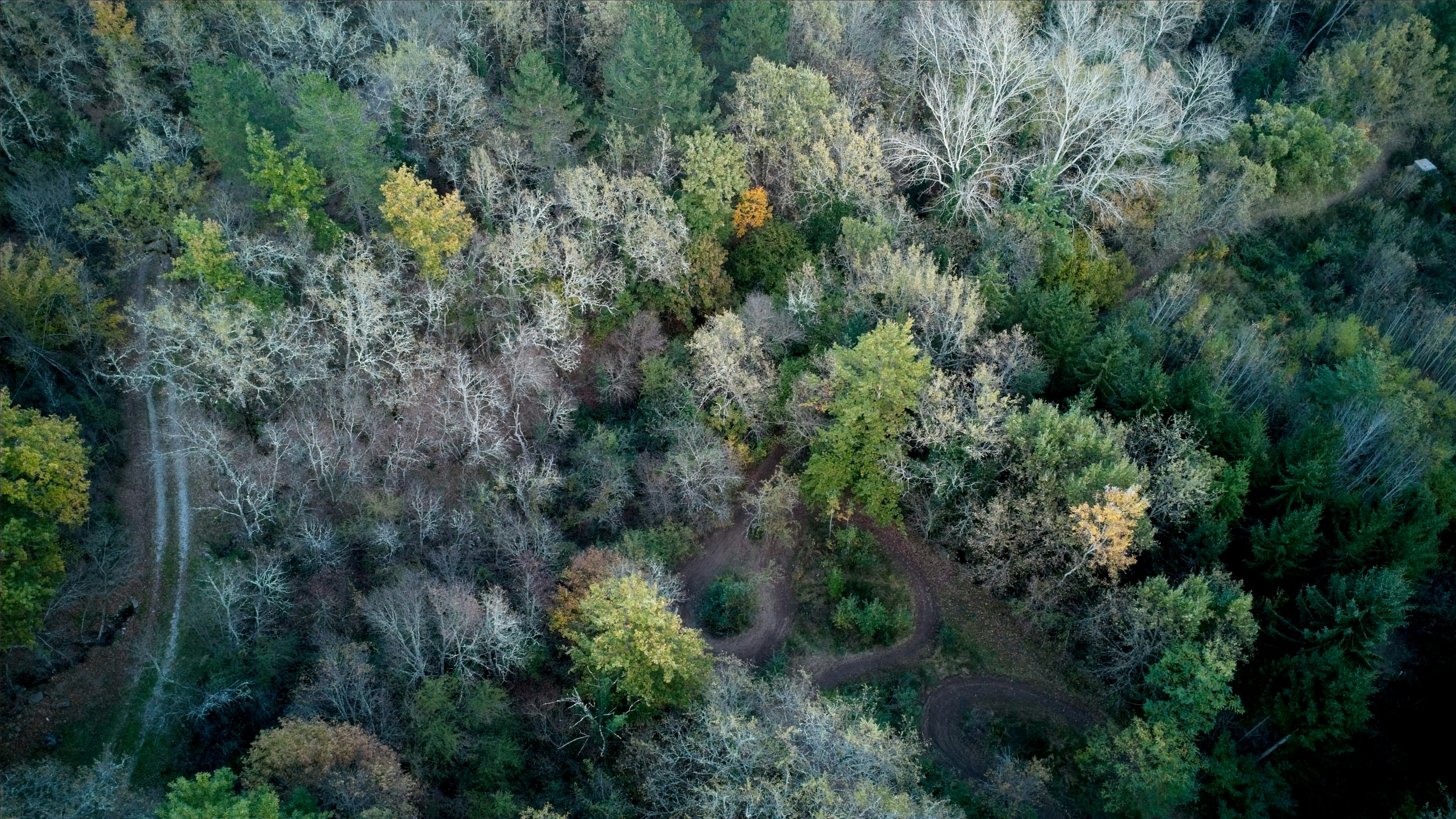 Photo by matteoborri