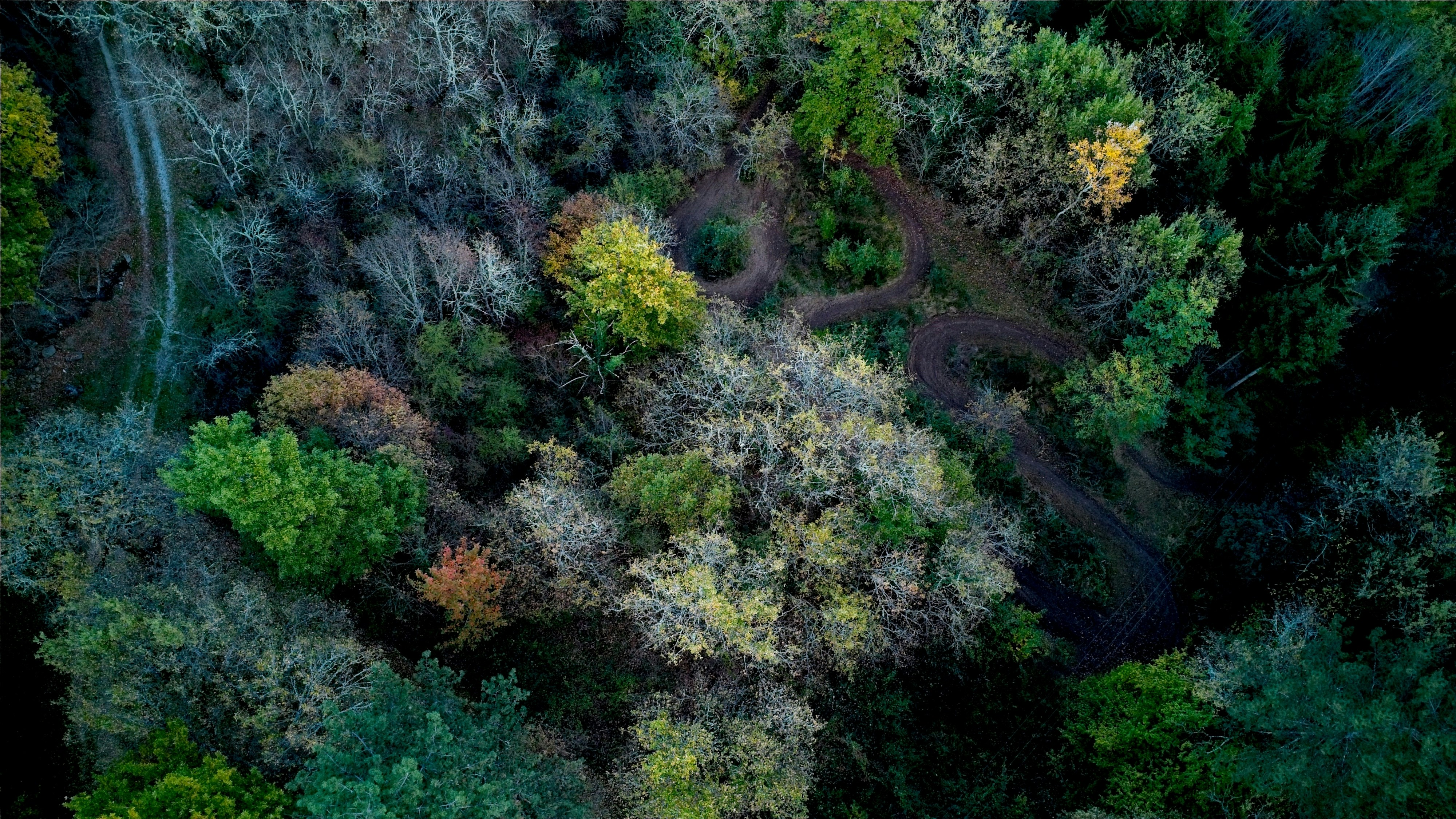 Photo by matteoborri