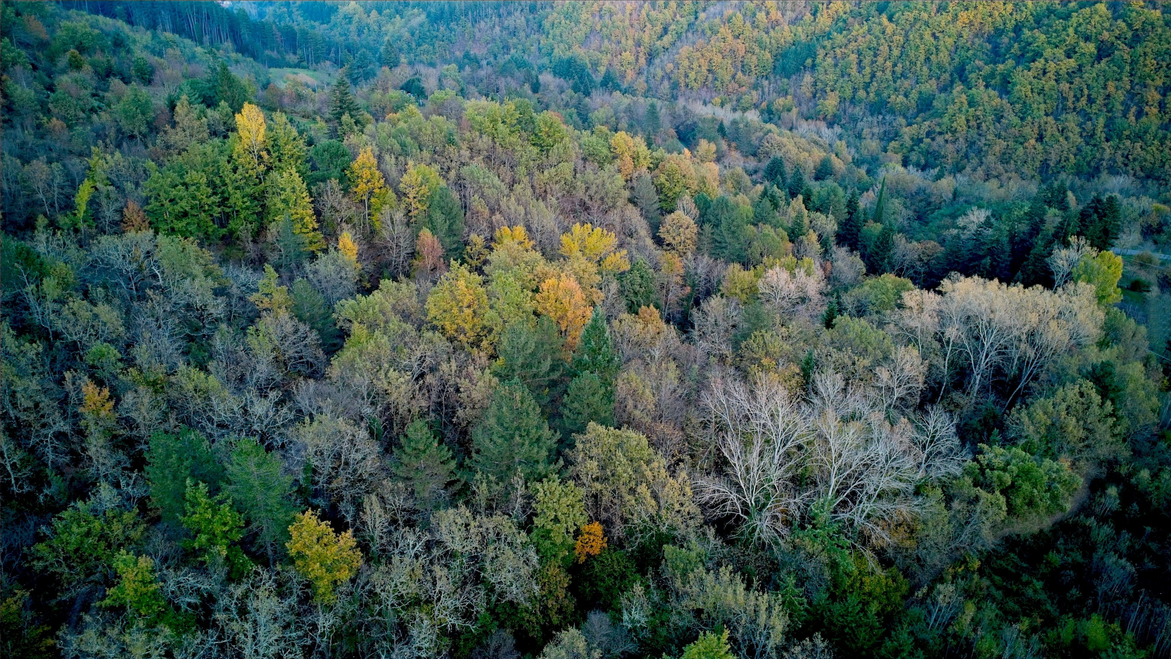 Photo by matteoborri