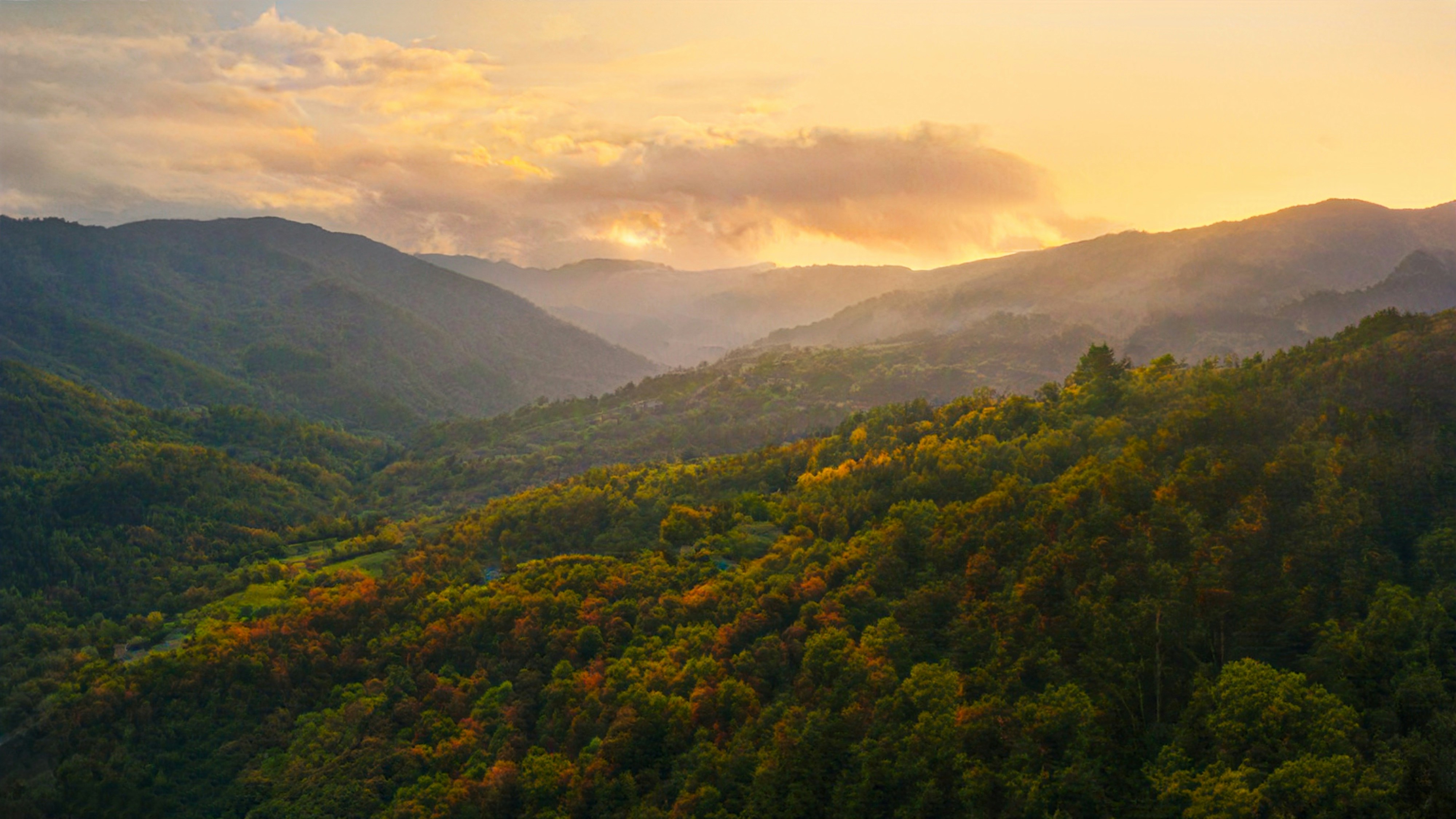 Photo by matteoborri