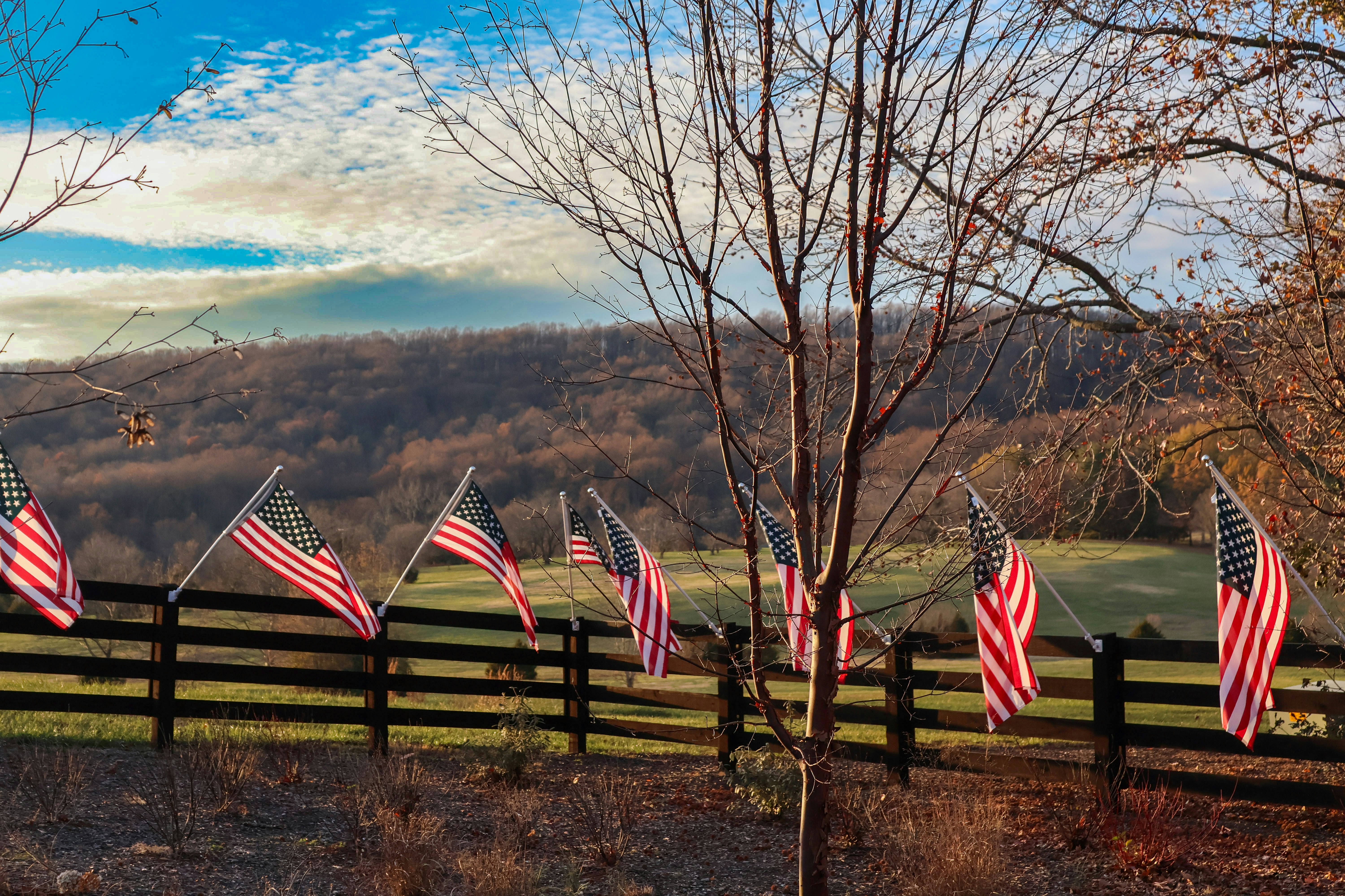 A wooden fence with american flags on it