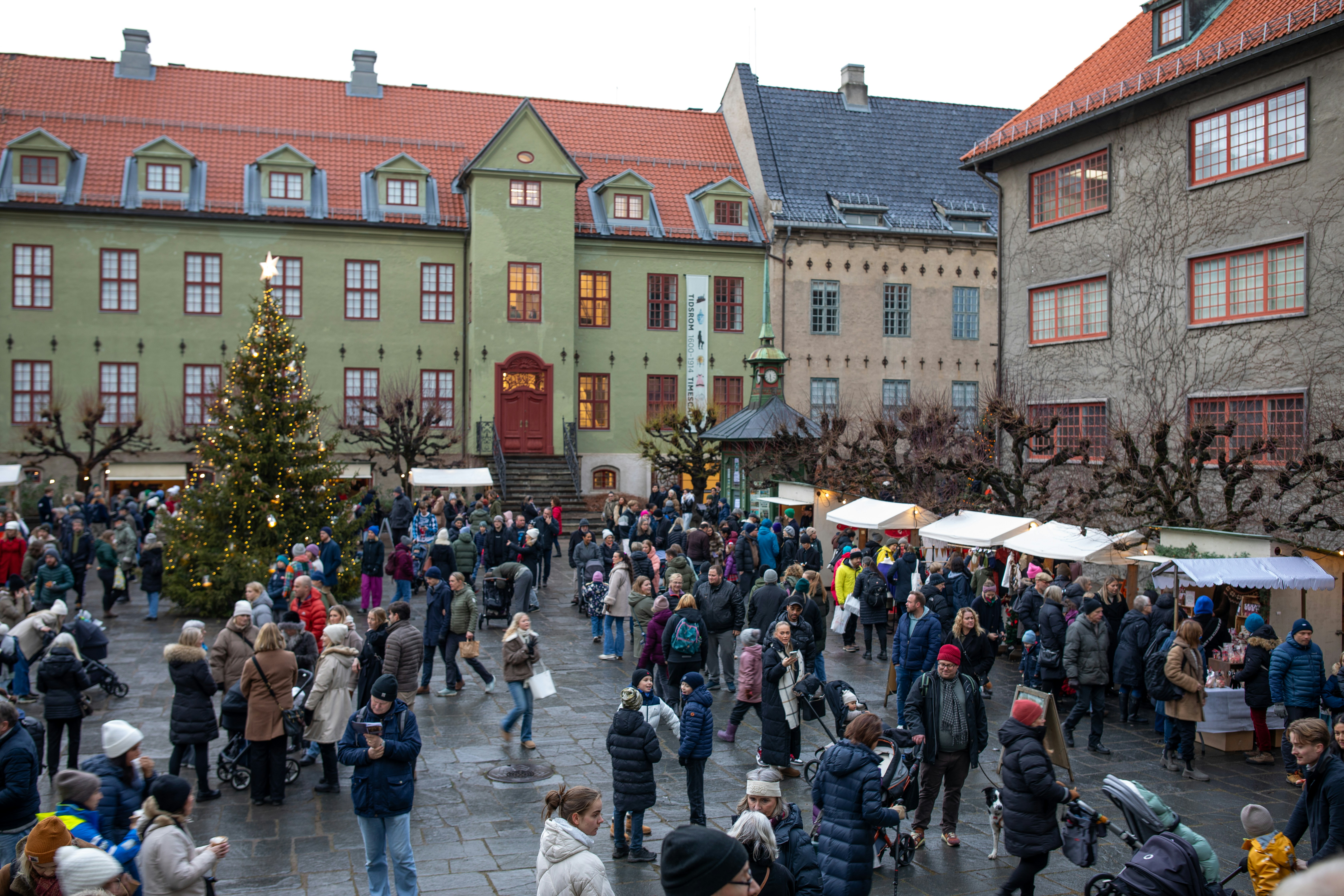 A crowd of people standing around a christmas tree photo – Free ...