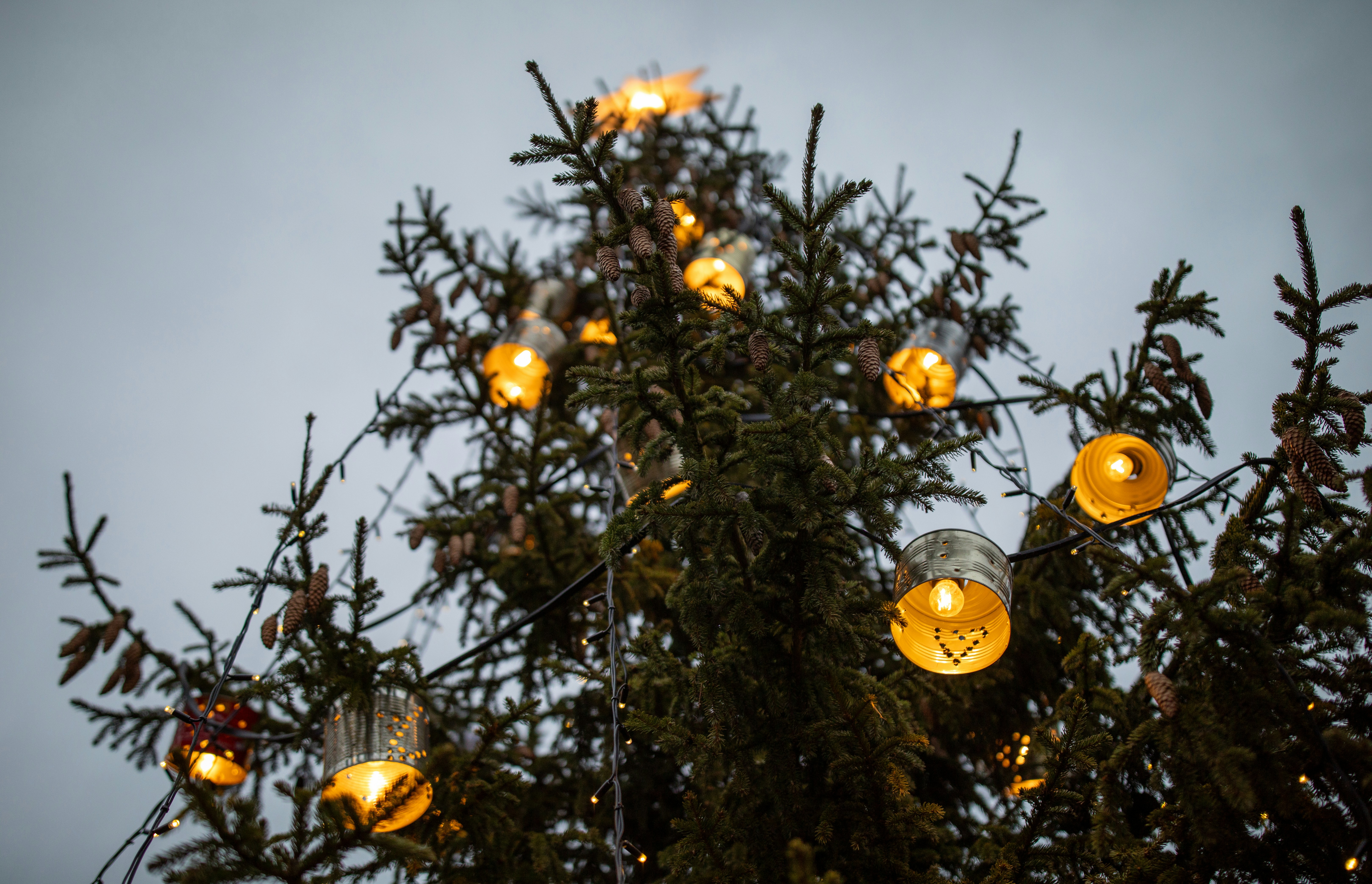 A christmas tree with a lot of lights on it
