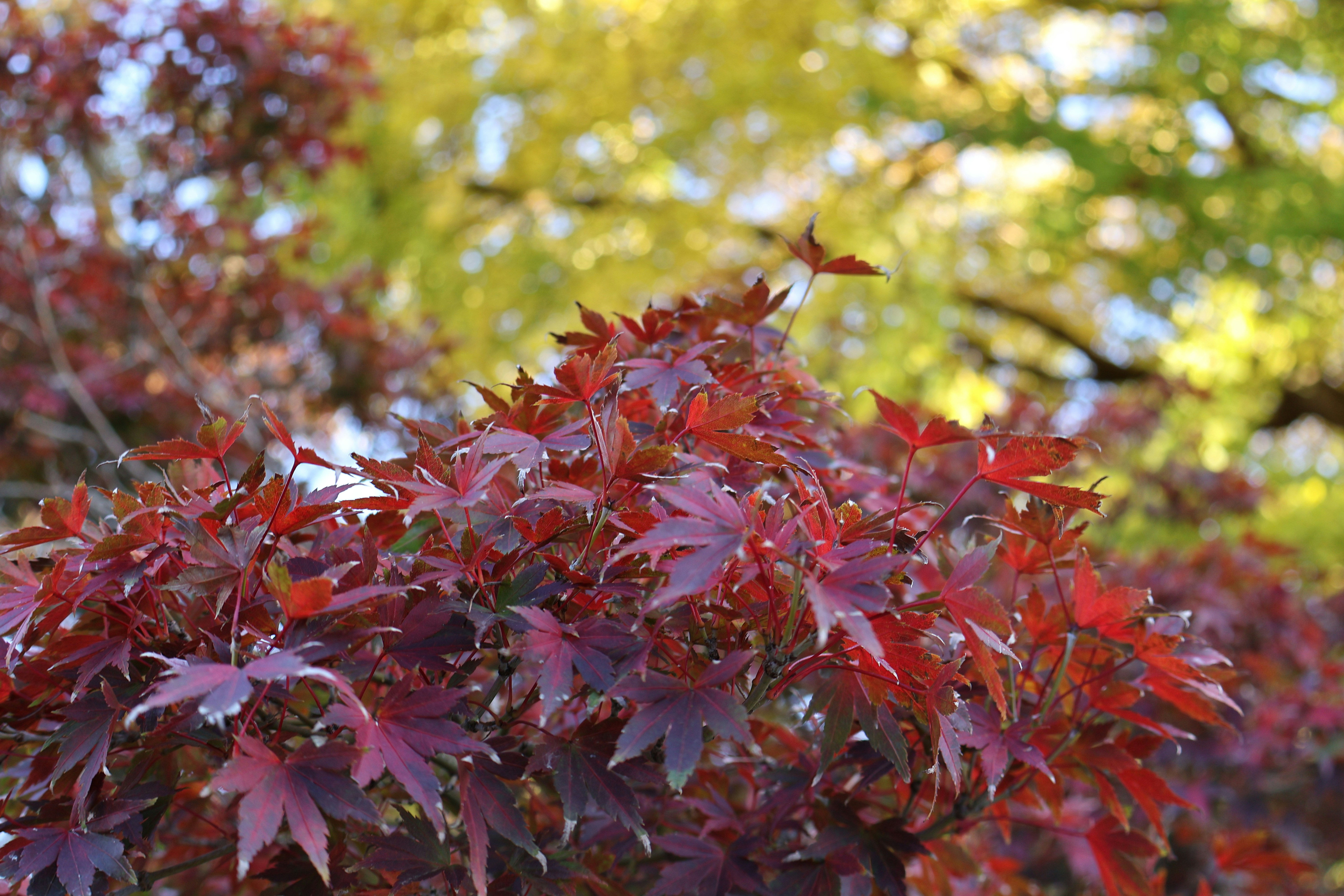 Photo by vickeekiwiwow