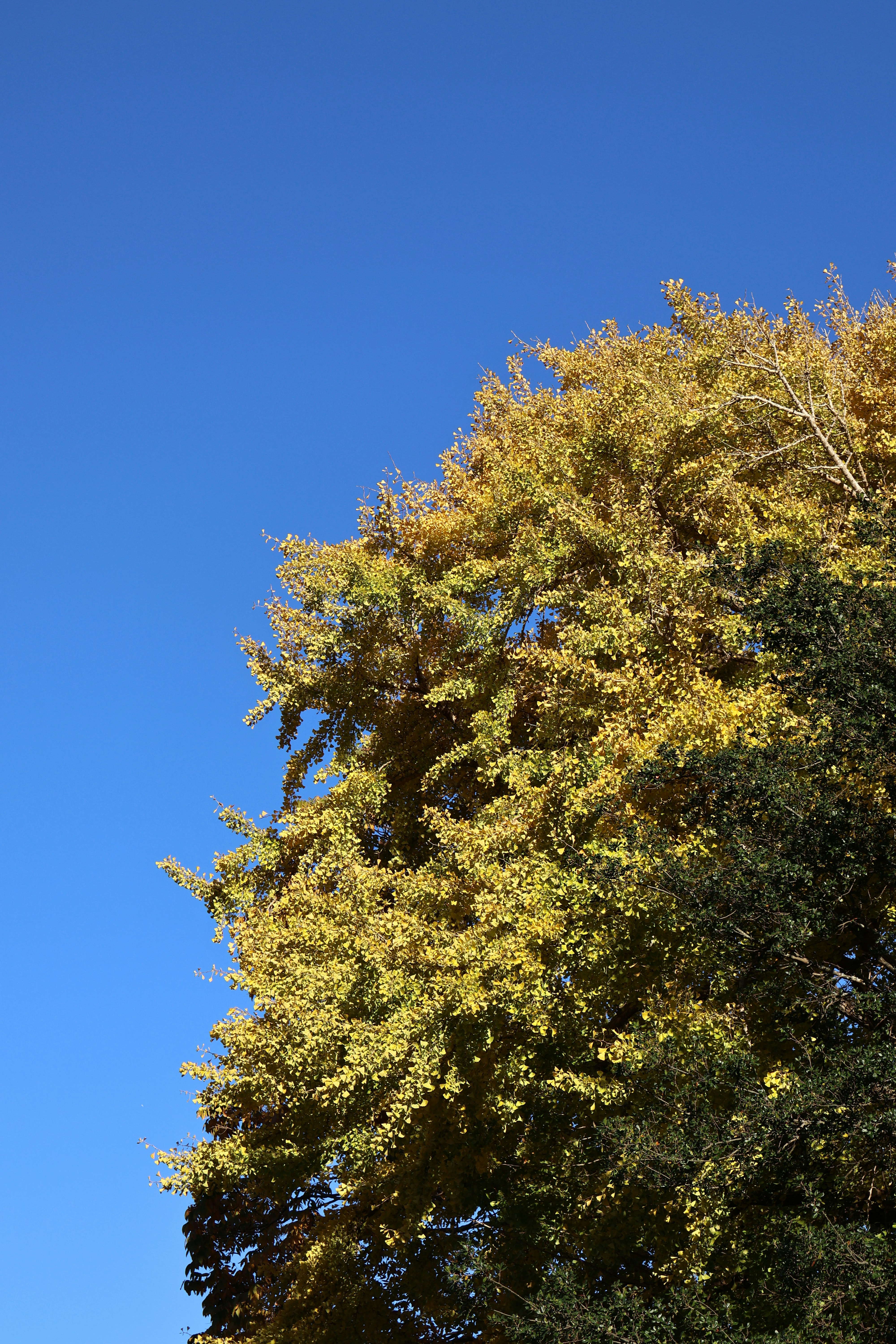 Photo by vickeekiwiwow