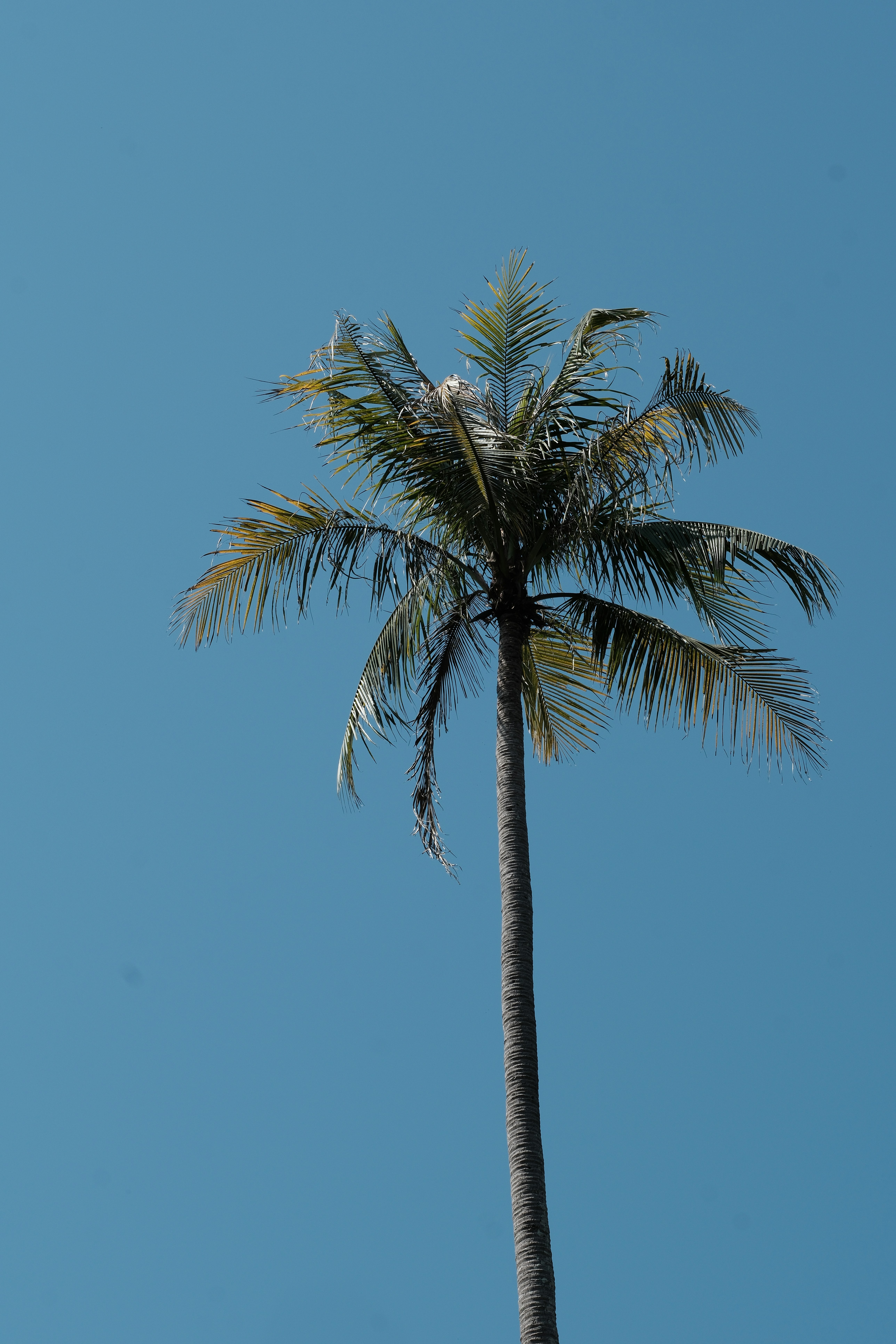 Photo by marcohaenssgen